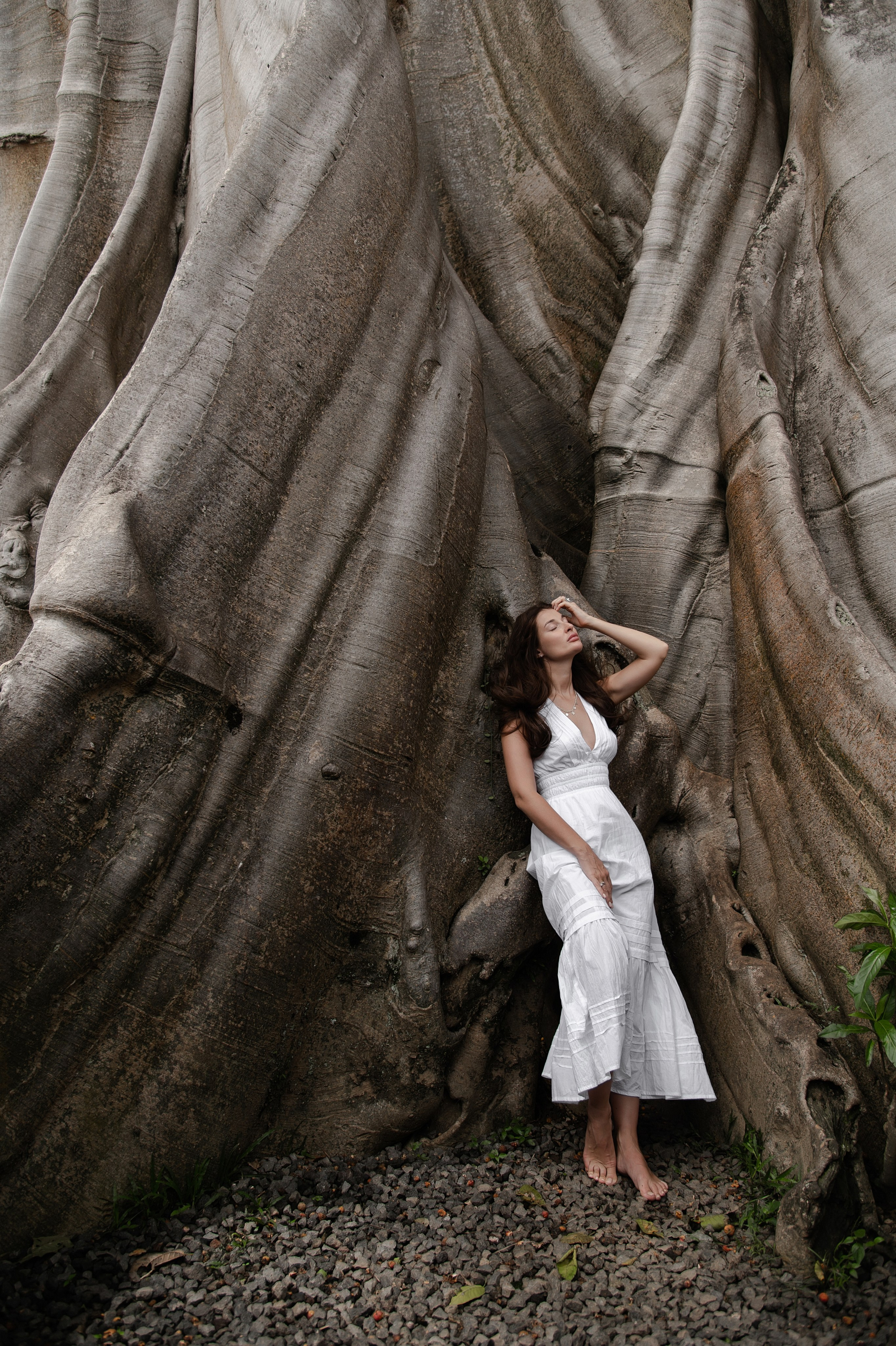 Bayan Tree. Свадебный фотограф в Ростове Максимов Максим