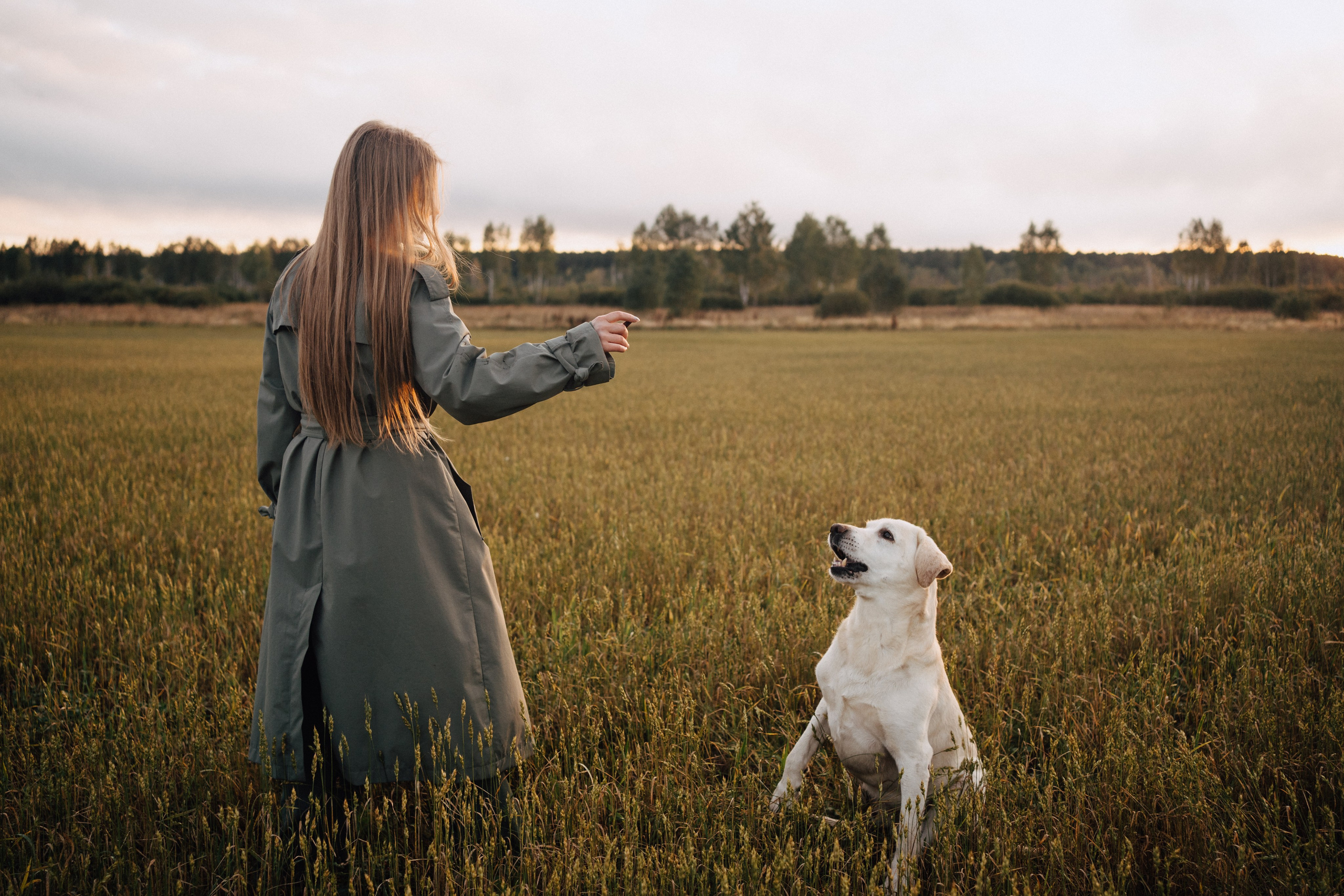 Дана и Арчи. Фотограф-анималист Анастасия Большакова