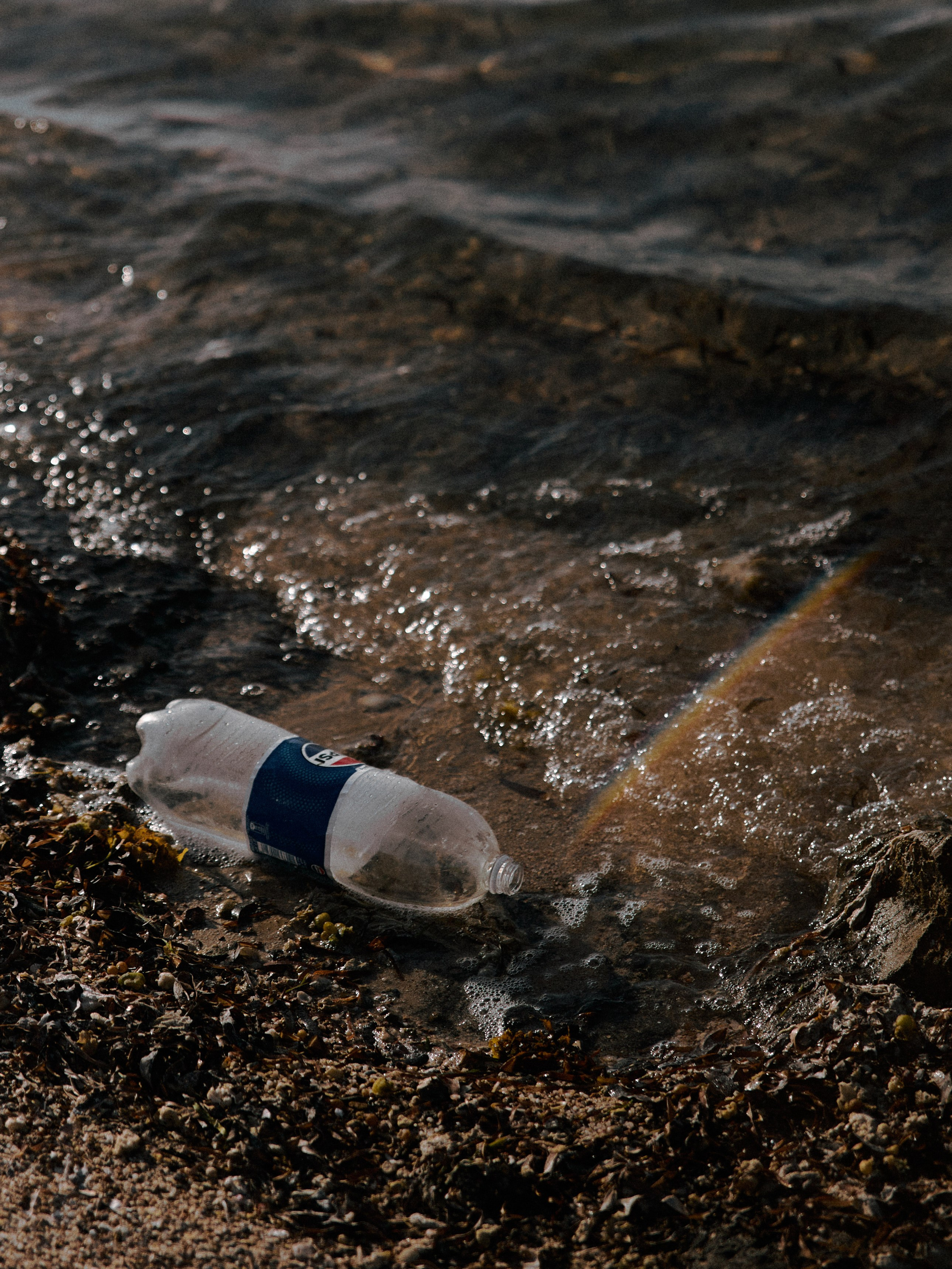 Природа сквозь. Jorgis Talè — photographer, kind person, teacher of arts and other mag