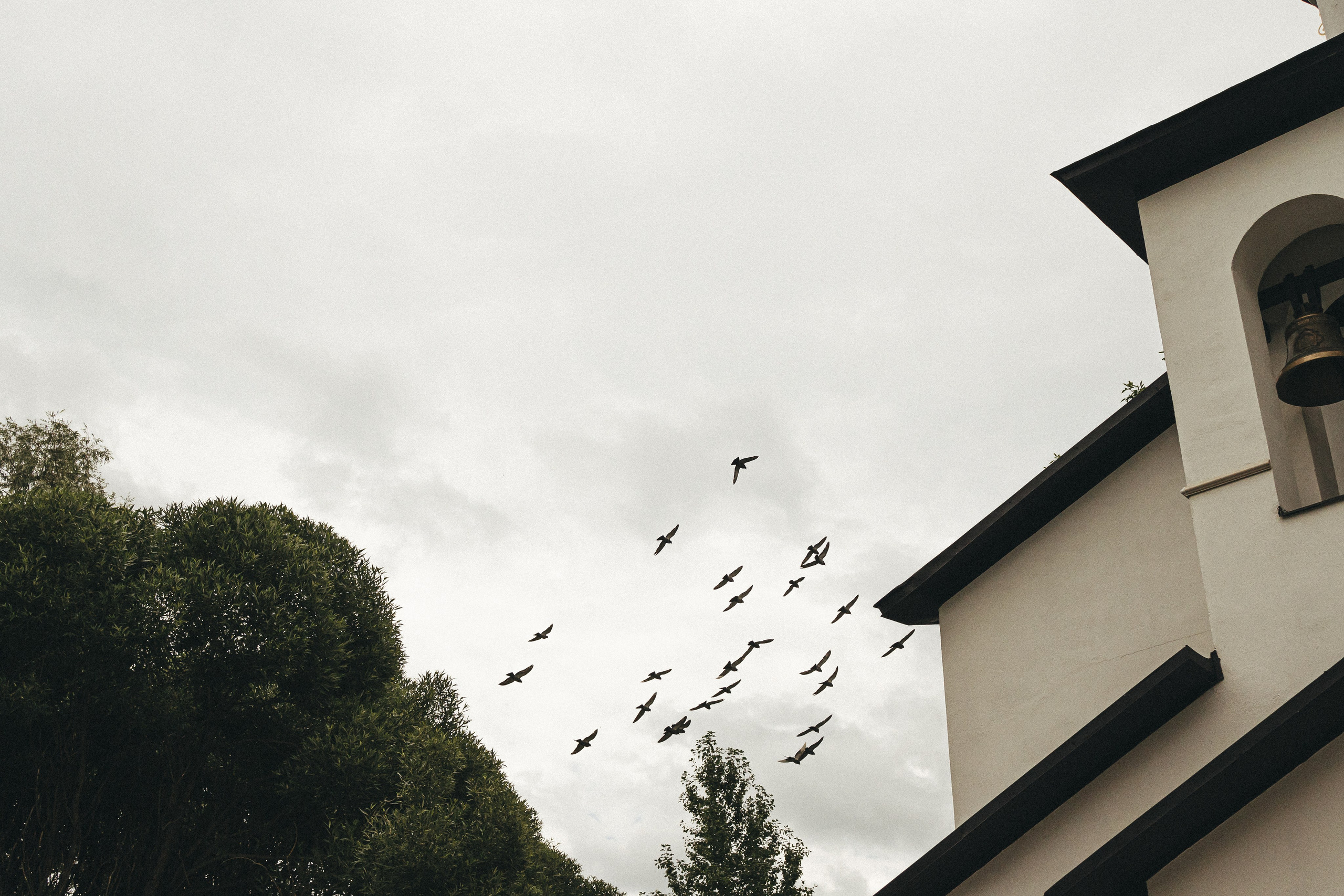 Daniil/sacrament. <3