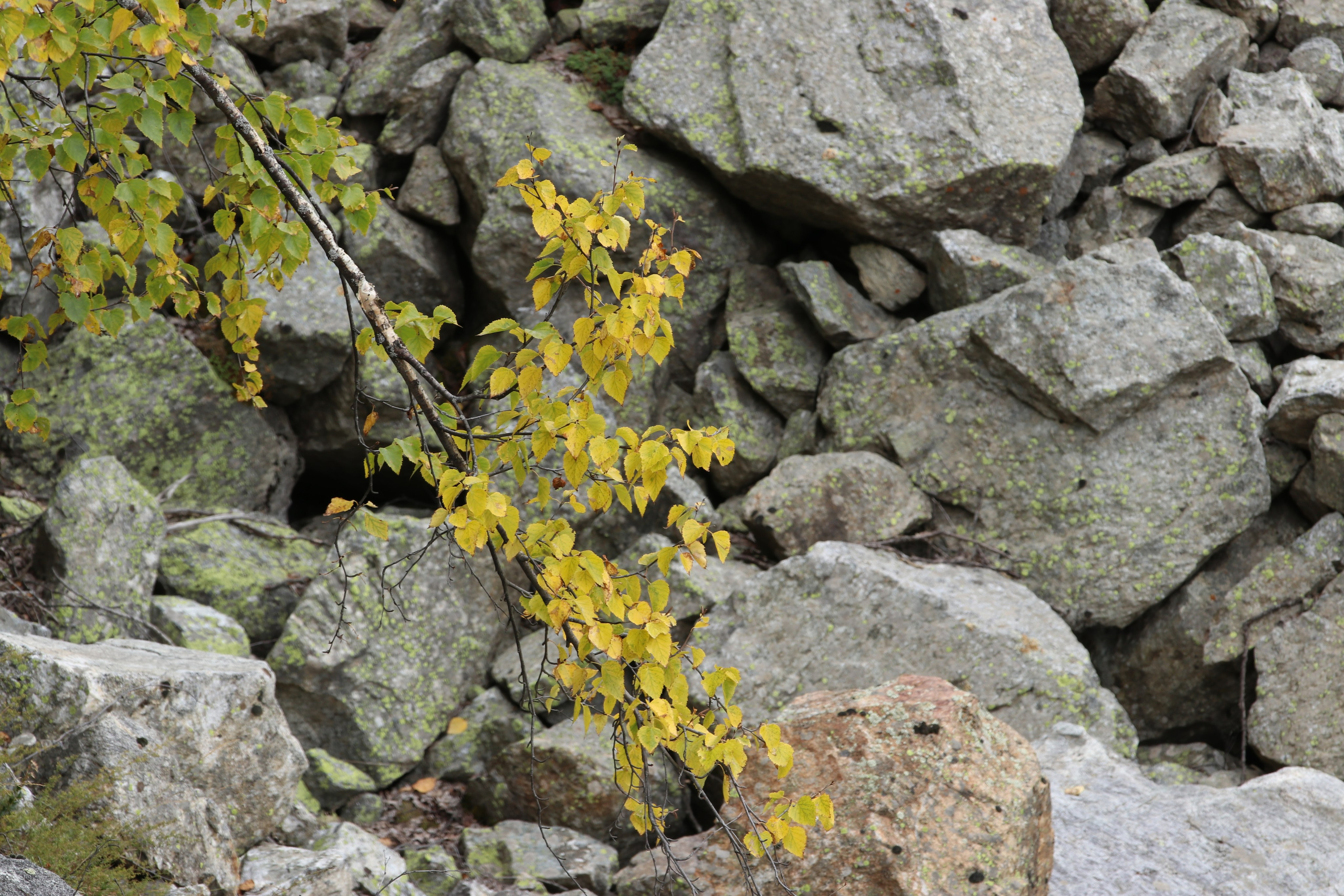 Приэльбрусье. Сентябрь 2023. Путешественник-фотограф из Санкт-Петербурга Татьяна Свистулина