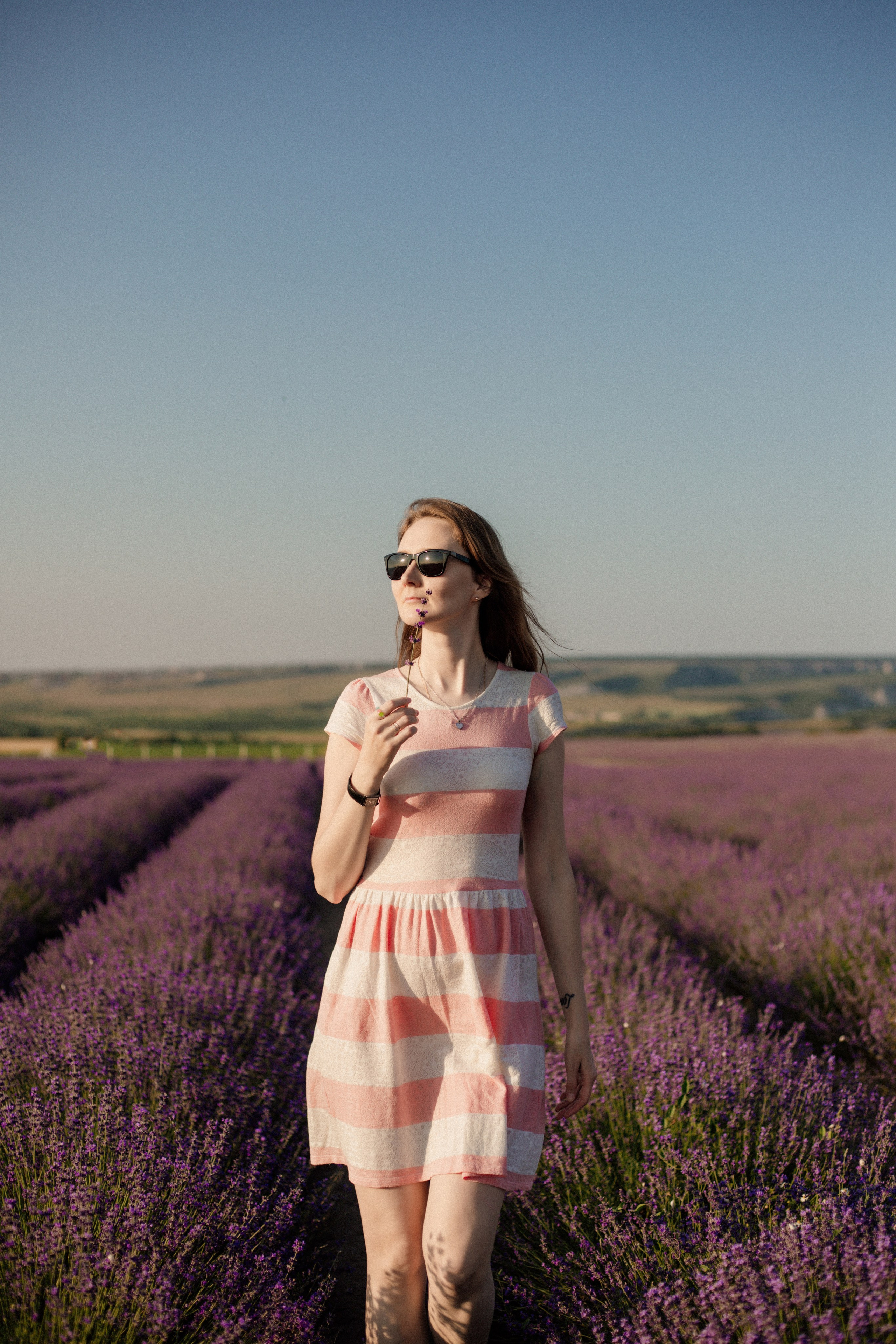 Лаванда. Фотограф и Видеограф Севастополь Крым