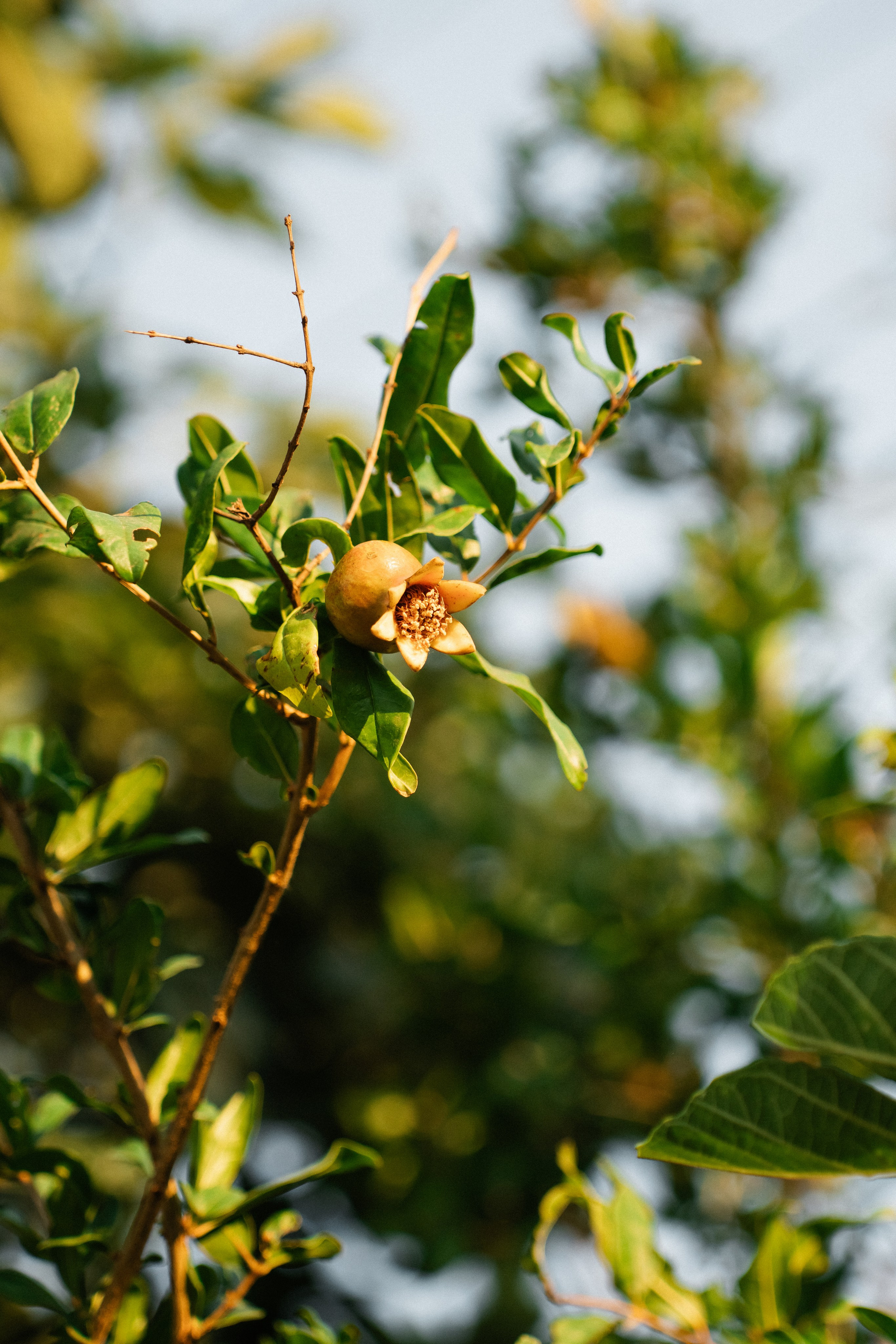 Z&A. Фотограф и Видеограф Севастополь Крым