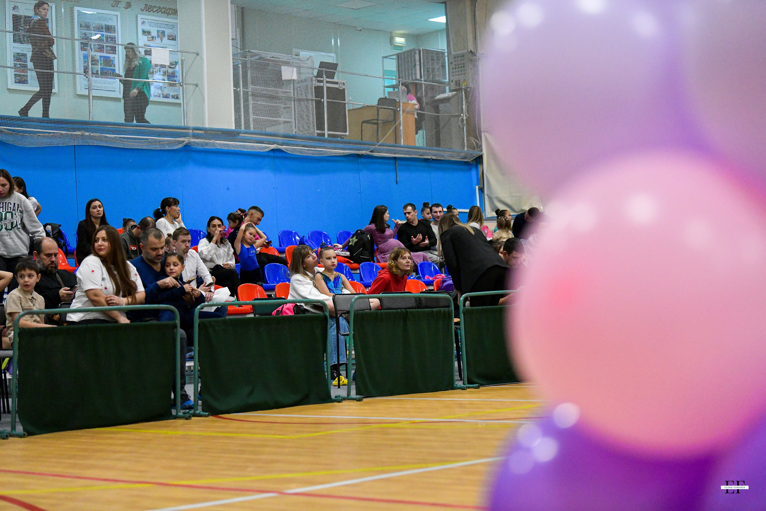 Фестиваль гимнастики «Северная грация» 02.11.2024. Свой взгляд через объектив