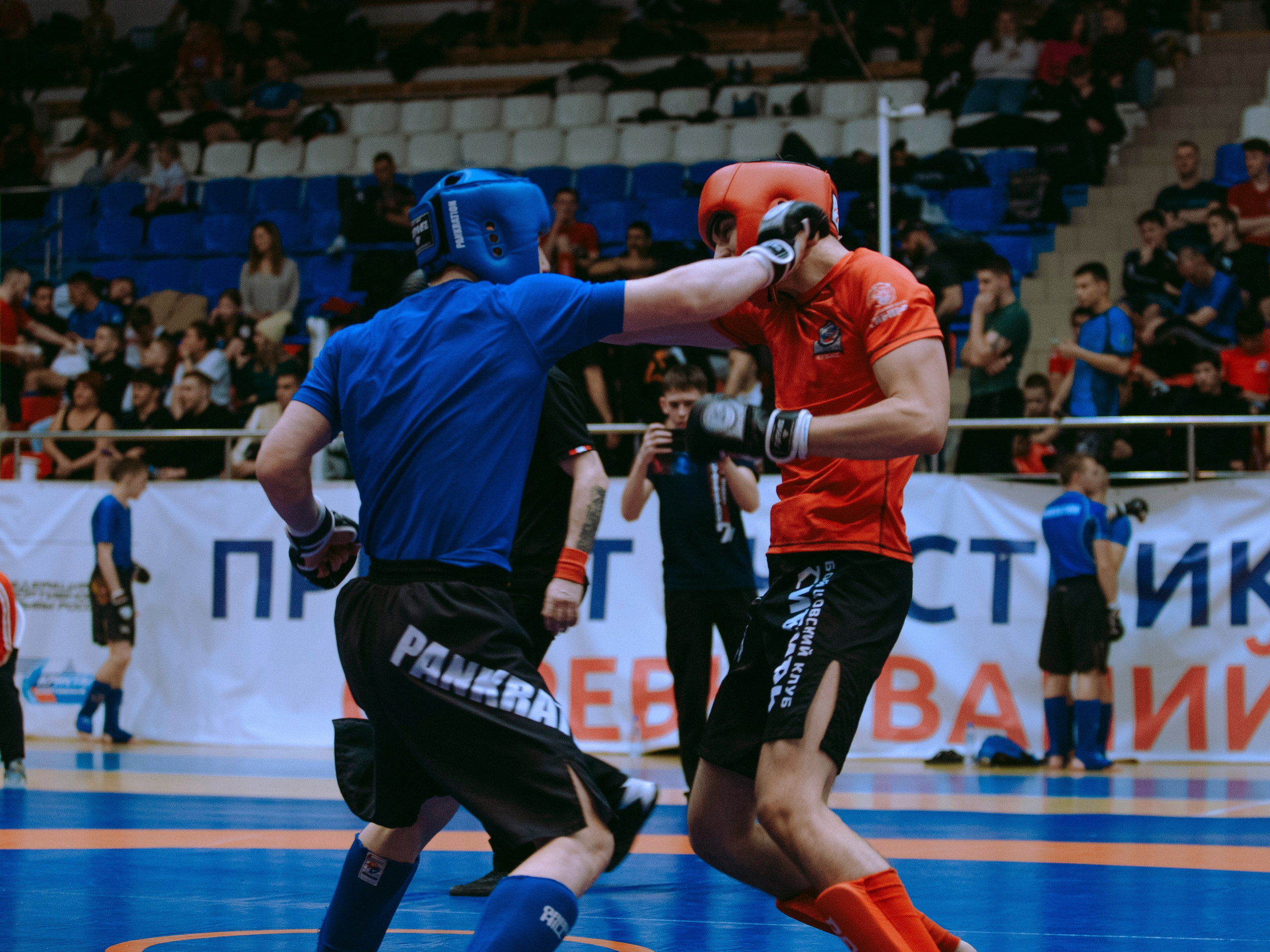 ПАНКРАТИОН | Чемпионат и первенство СФО | март `24. Портретный фотограф в Москве Дарья Цезария
