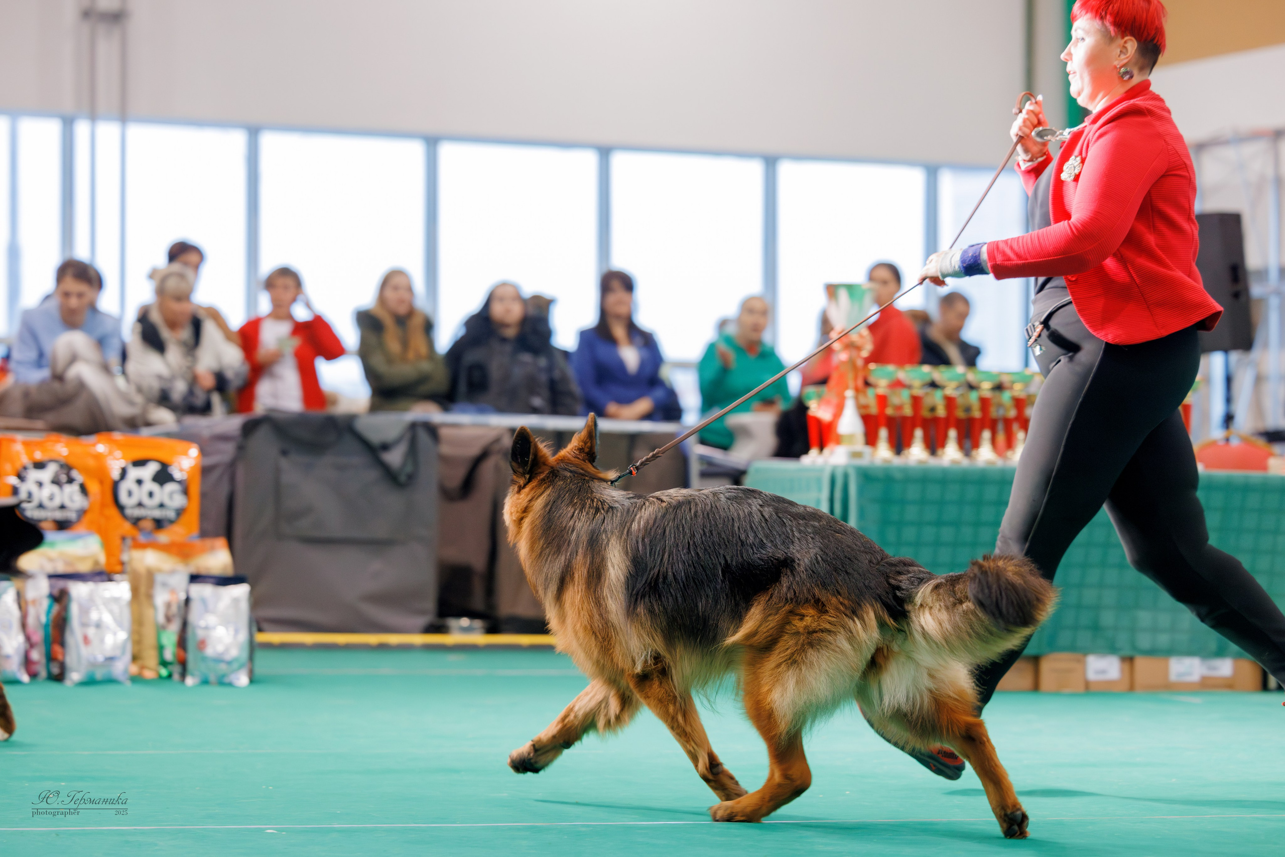 Минск 1-2.03.2025. Фотограф-анималист Юлия Германика