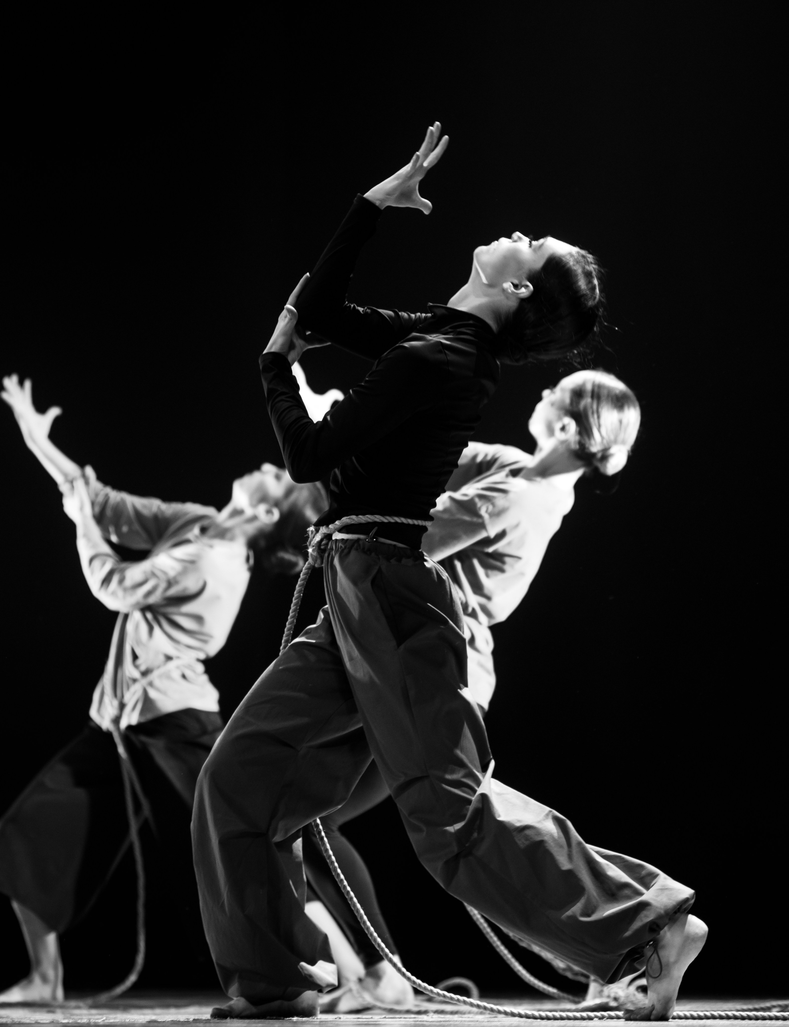 Контрасты | КемГИК