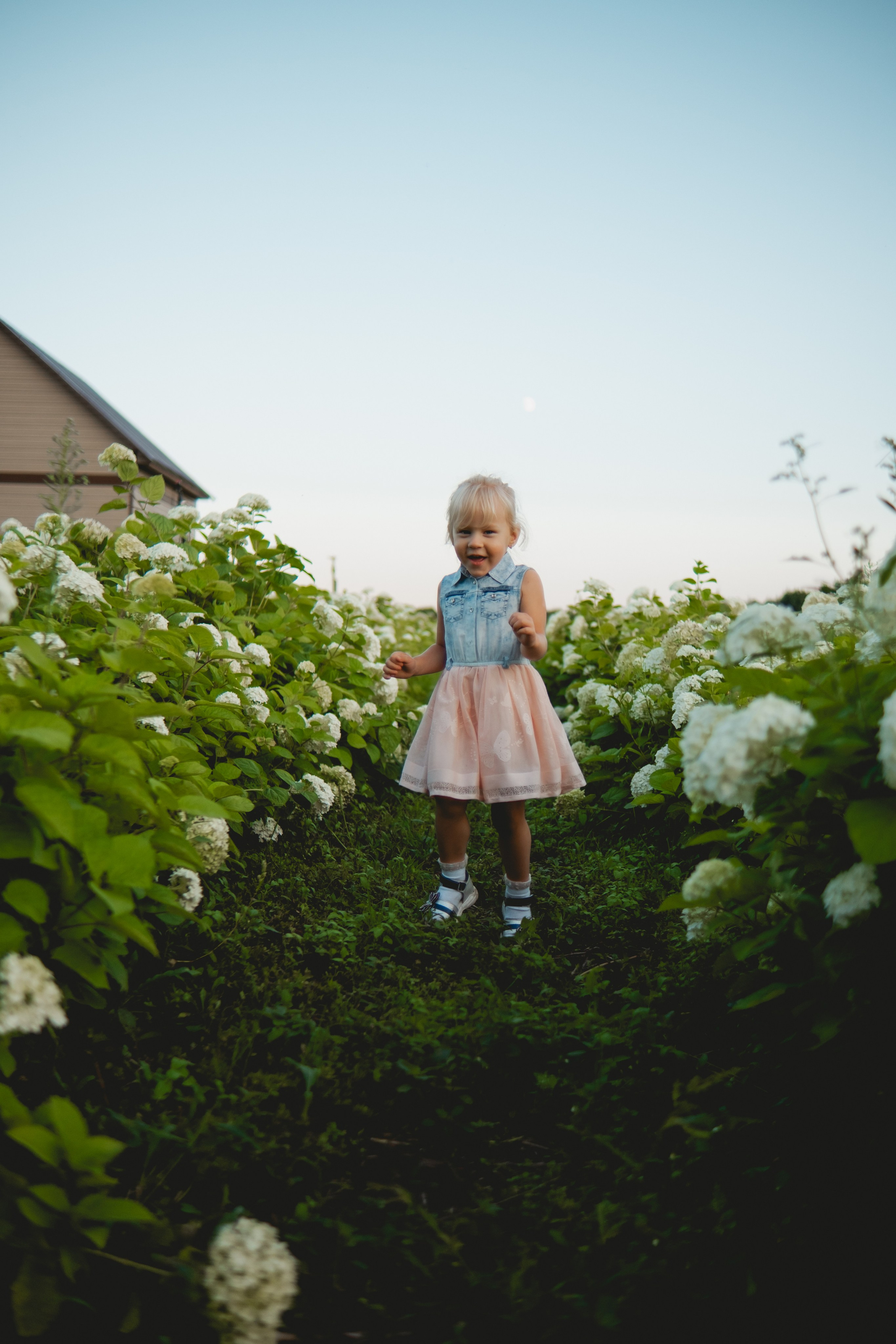 Семейная съемка в лованде. Nattie.ph