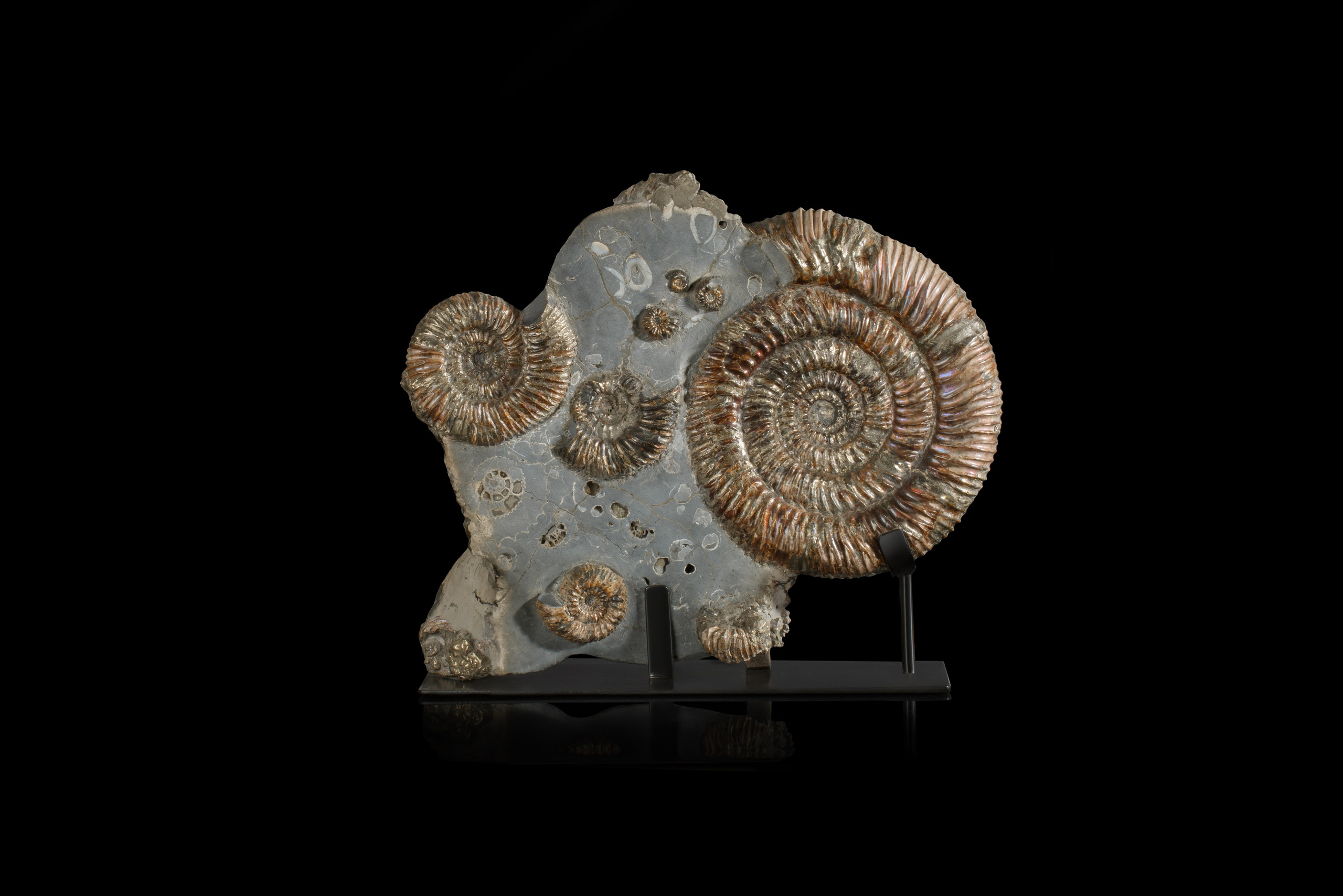 Профессиональная обработка натуральных камней, минералов и ископаемых | Студия SVITHART