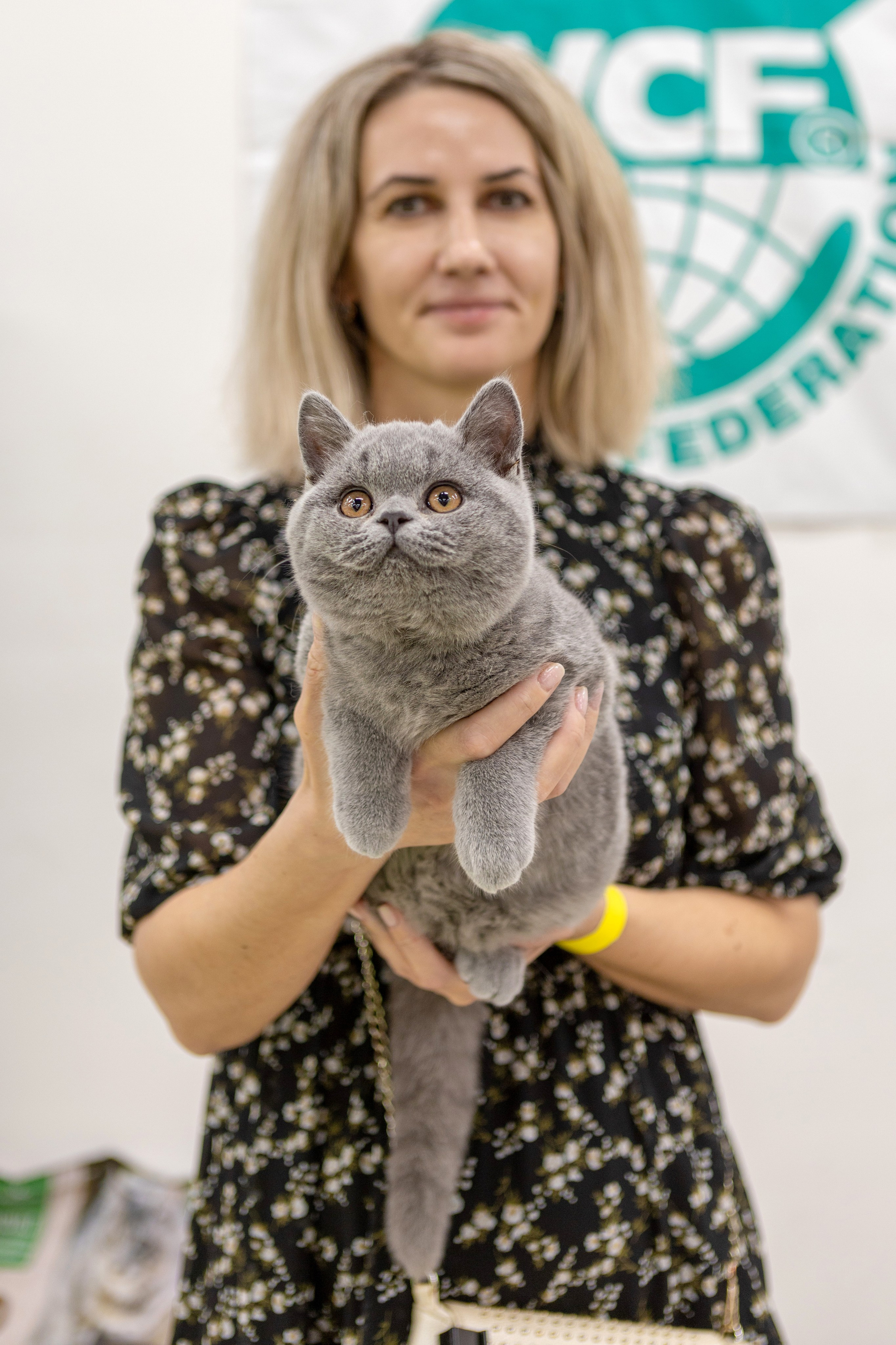 Котята. Фотограф Яна Матвеева в Ижевске