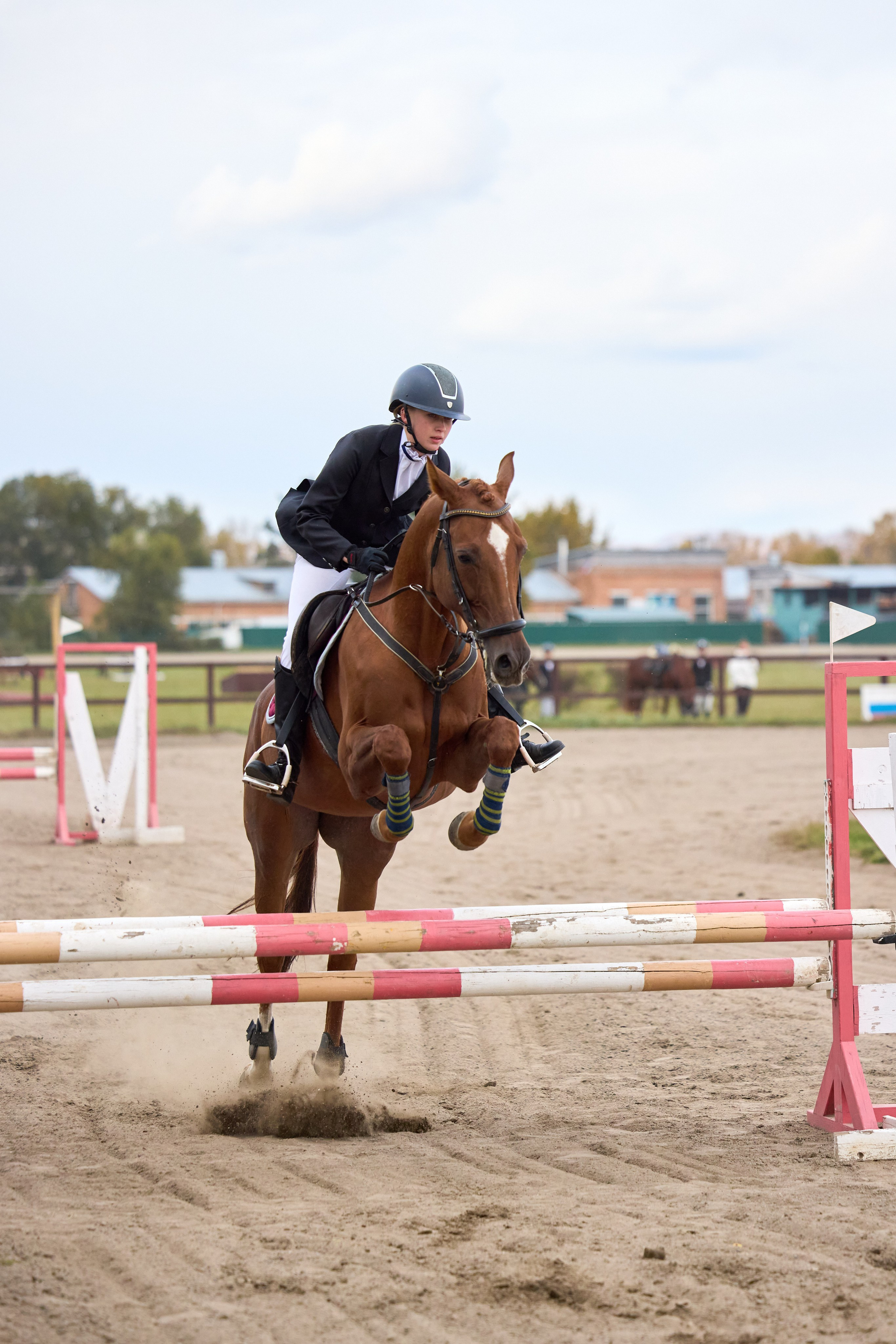 Конкур на Абаканском ипподроме. Ваши Истории. Фотограф/видеограф. Абакан