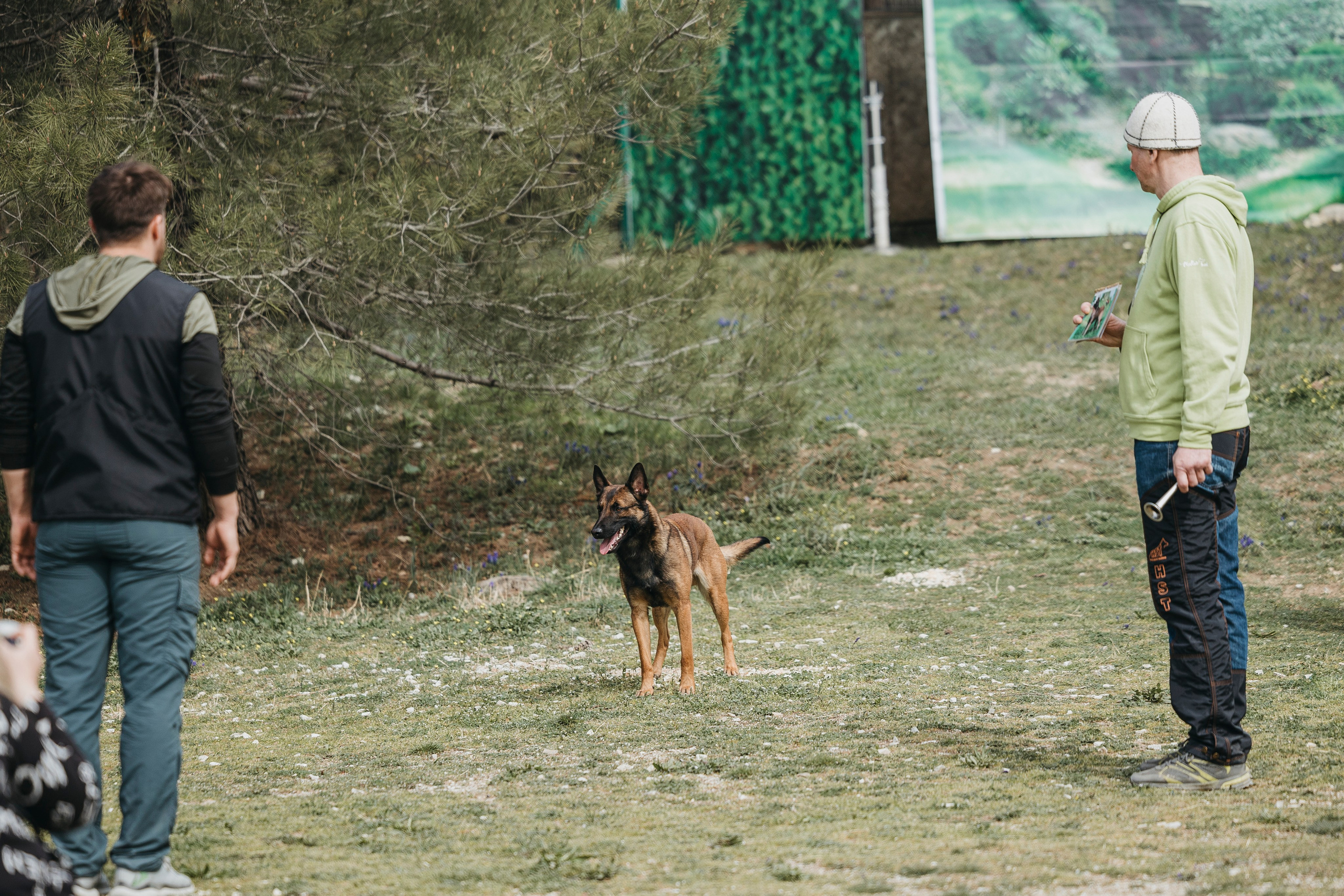 Геленджик Мондьоринг. Фотограф-анималист Анна Маринич