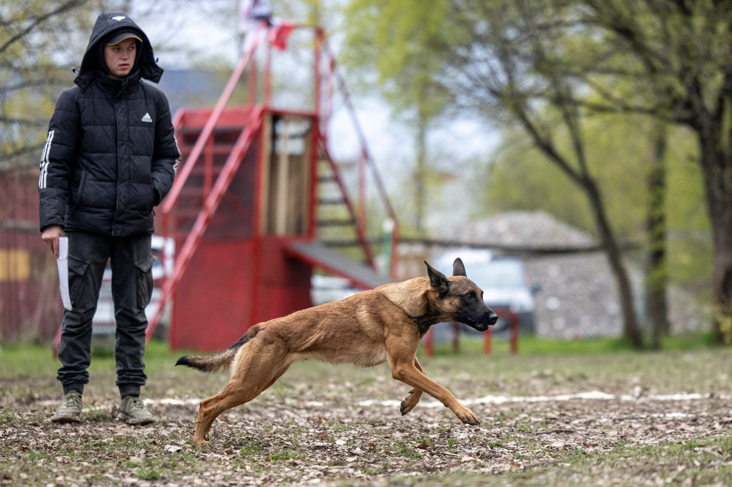 Квалификационные состязания по мондьорингу г. Вологда 11.05.24. Фотограф-анималист Анна Маринич