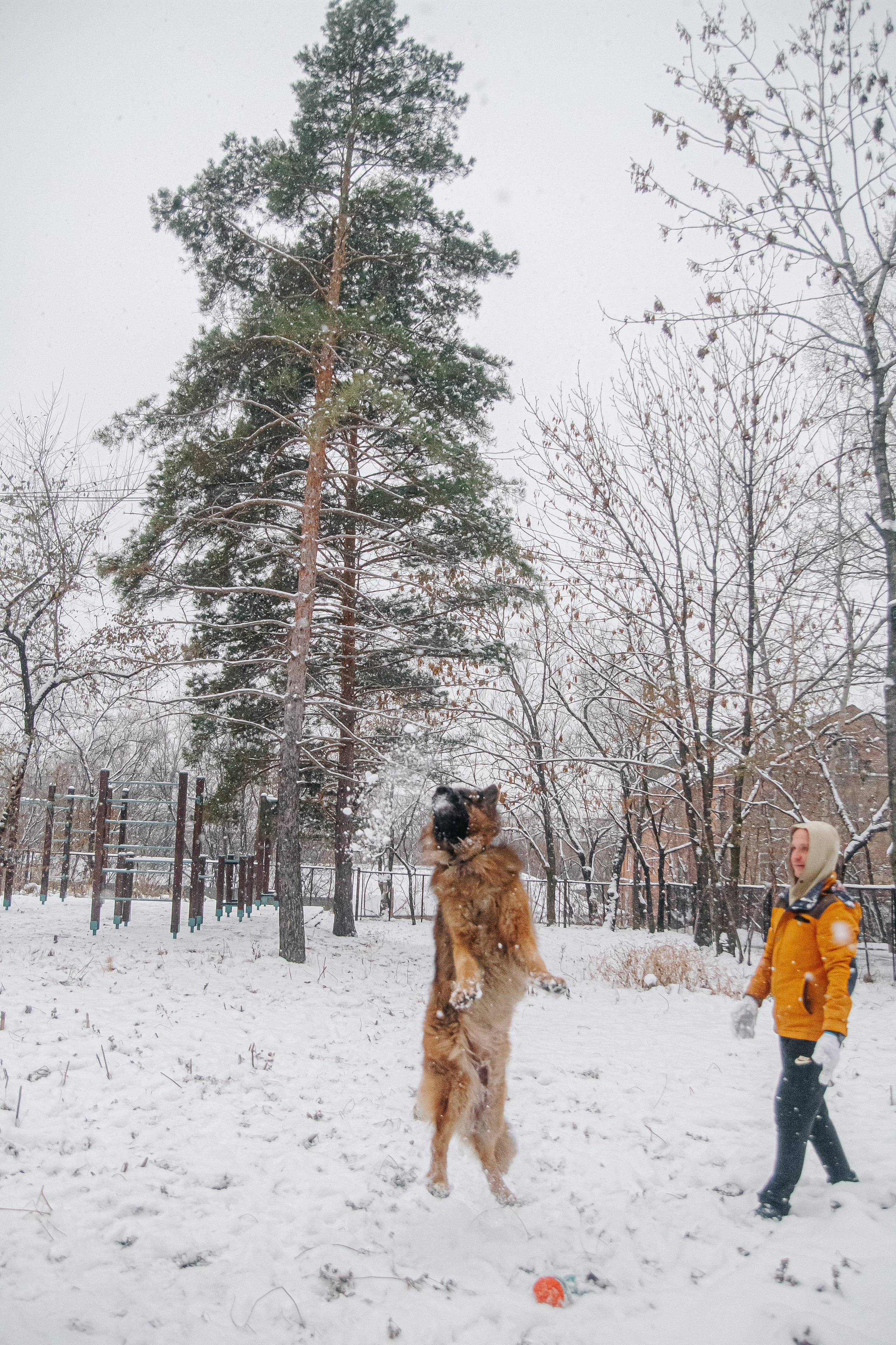 Первый снег 24. Фотограф в Хабаровске Юлия Чванова
