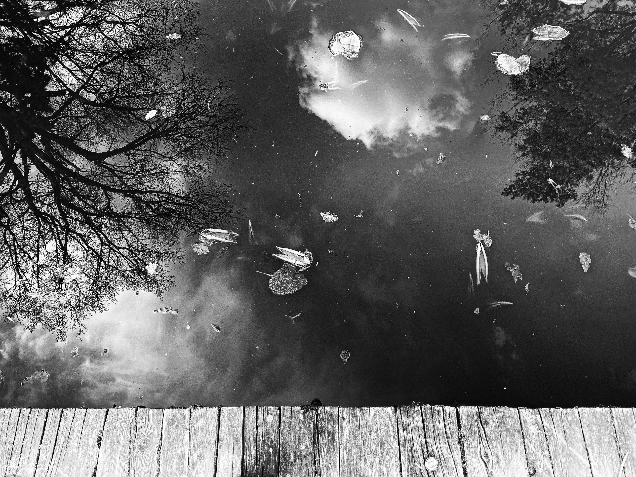 Работы с телефона. Свадебный фотограф в Москве Сафонова Анна