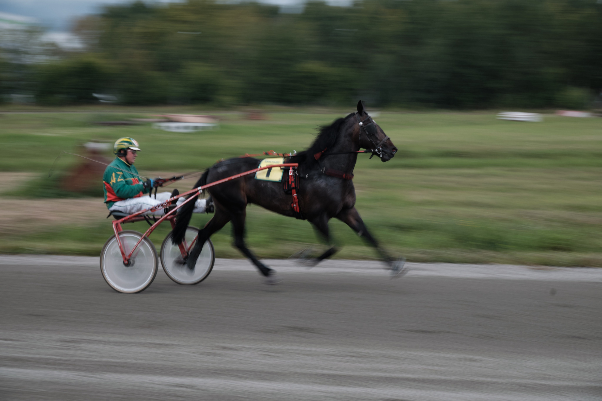 Ипподром. Goncharov Tim