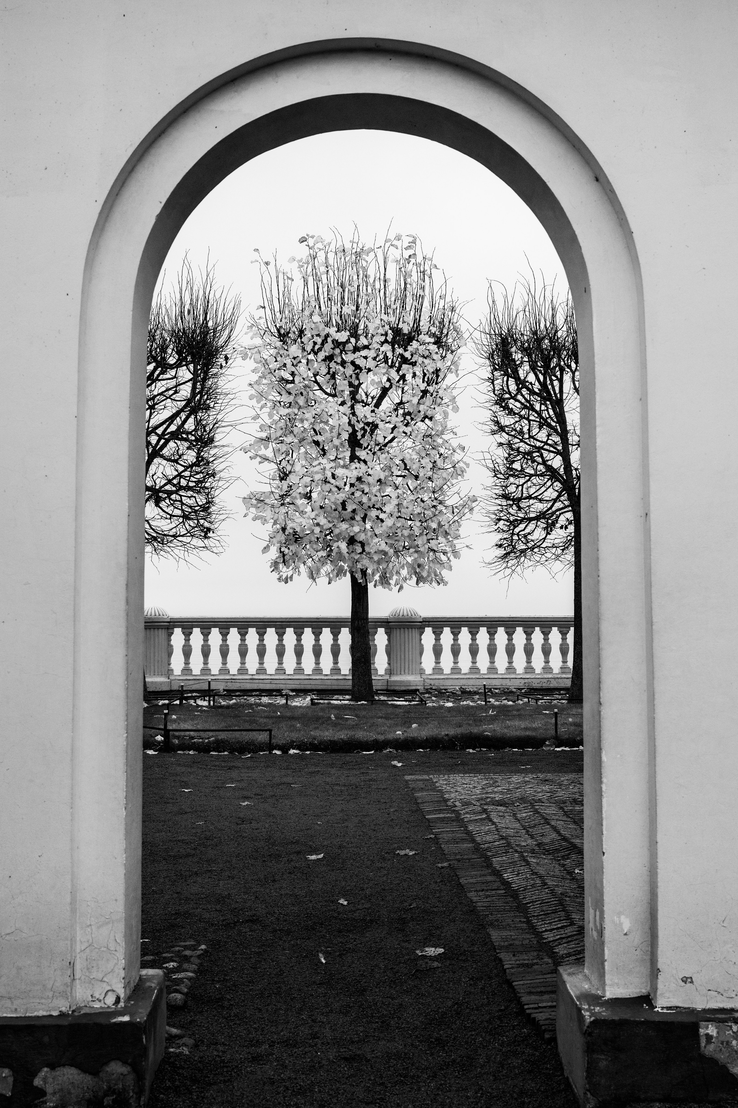 შავ- თეთრი. დიმიტრი ბახტაძე ფოტოგრაფი