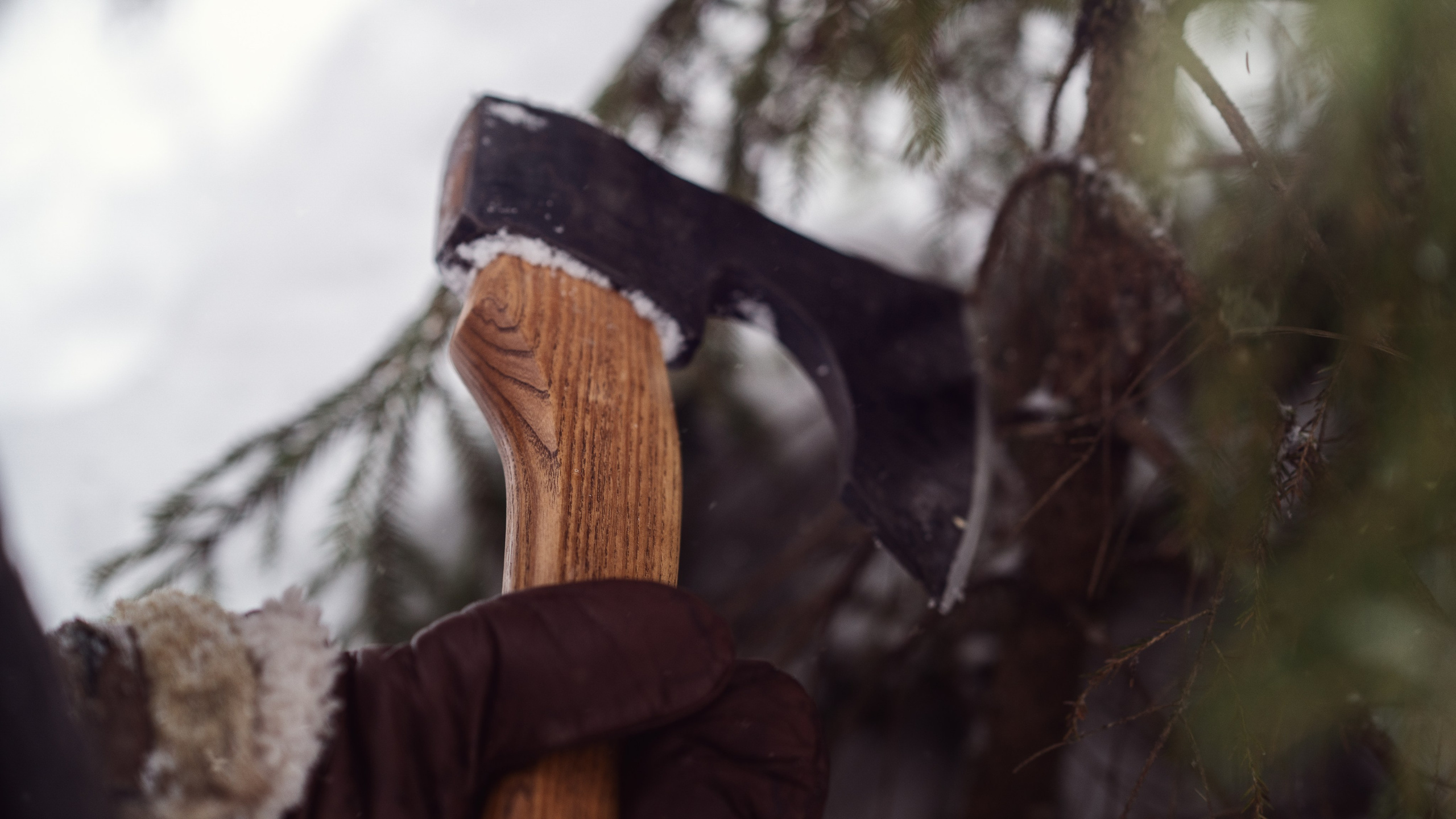 За ёлкой. Семейный фотограф Новая Рига (Звенигород, Истра) Евгения Литовченко