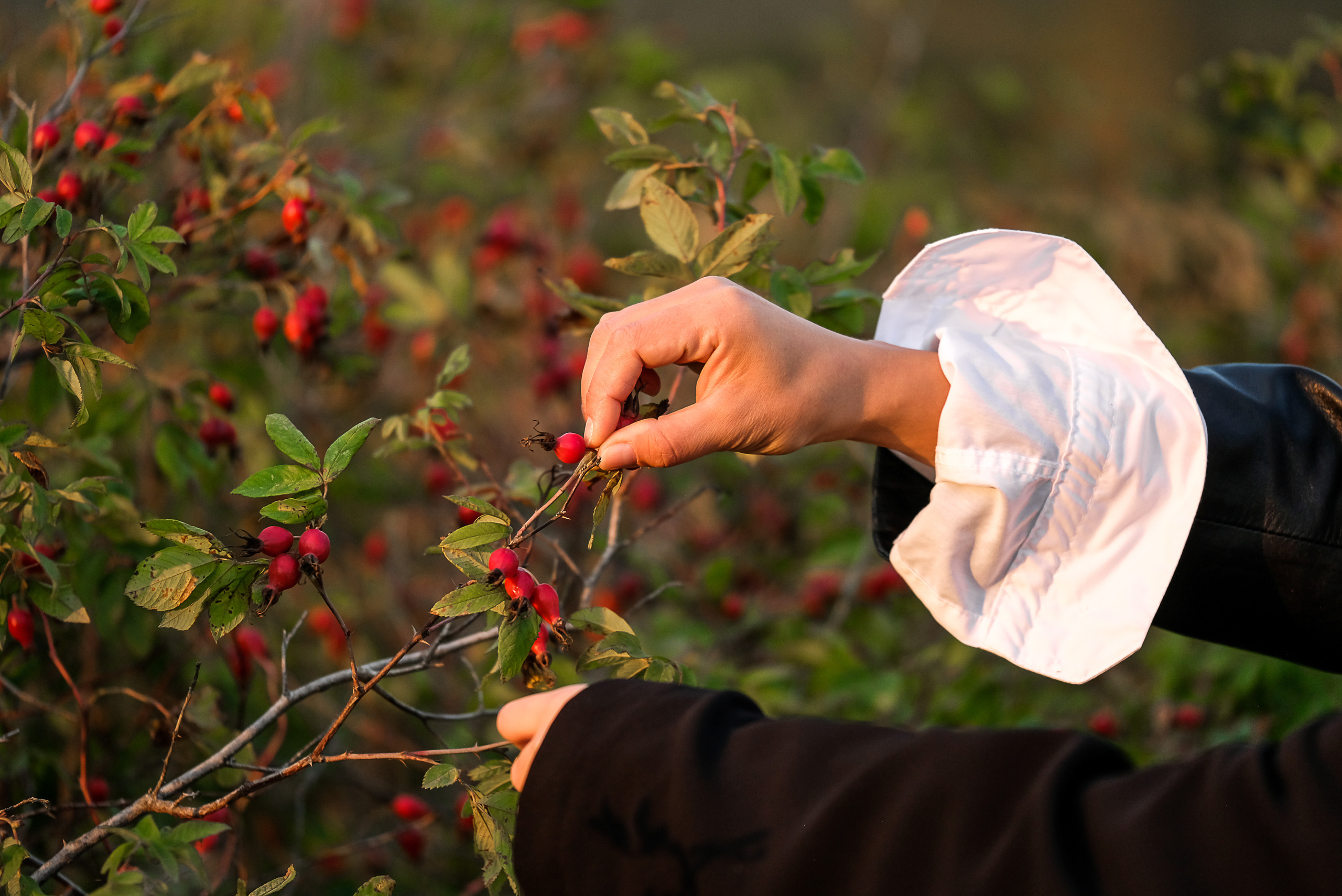 Фотосессия для Альмиры и Маши. Фотограф Анна Герман. Красноярск