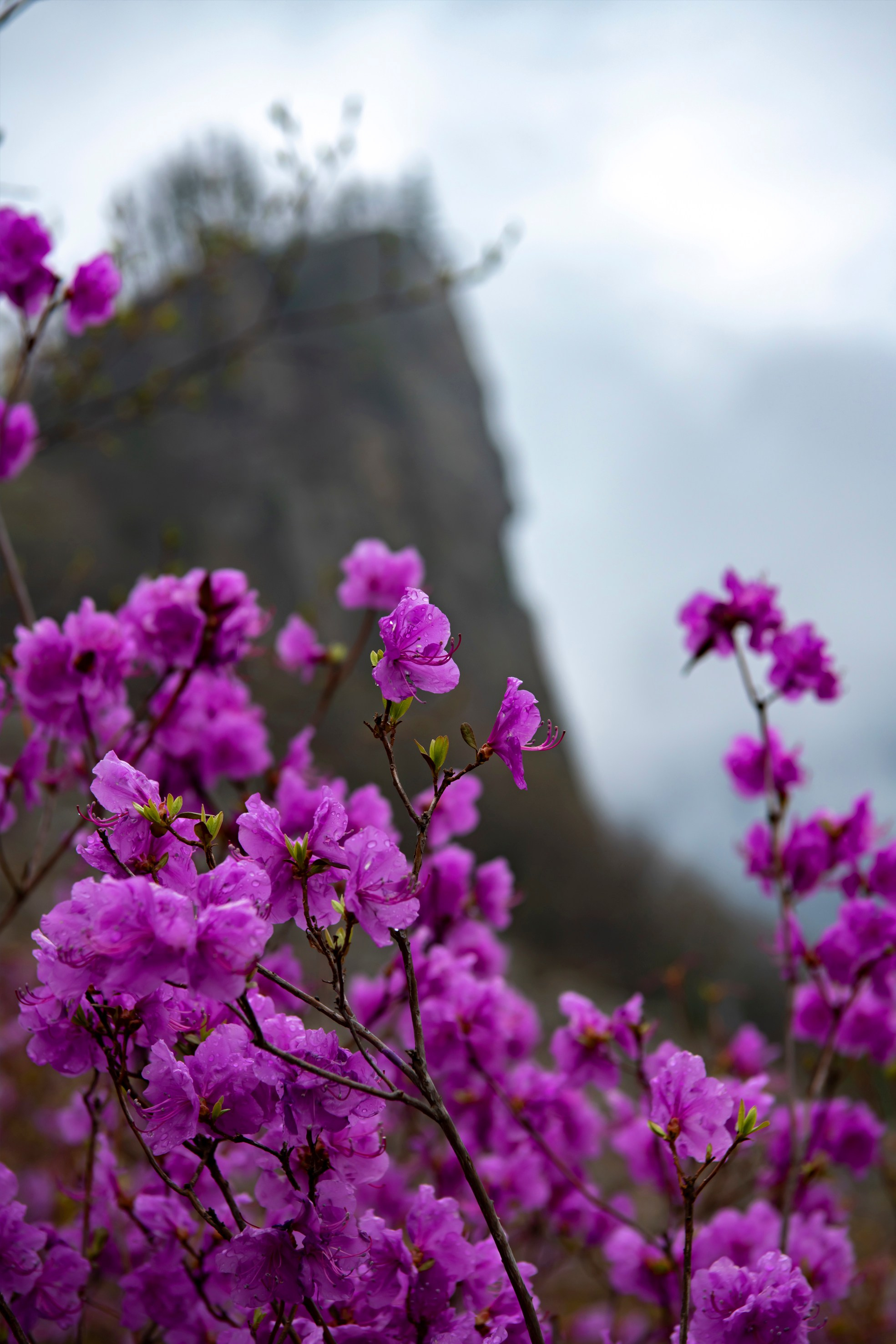 Природа Хабаровского края. Команда фотографов Кристины Ивановой