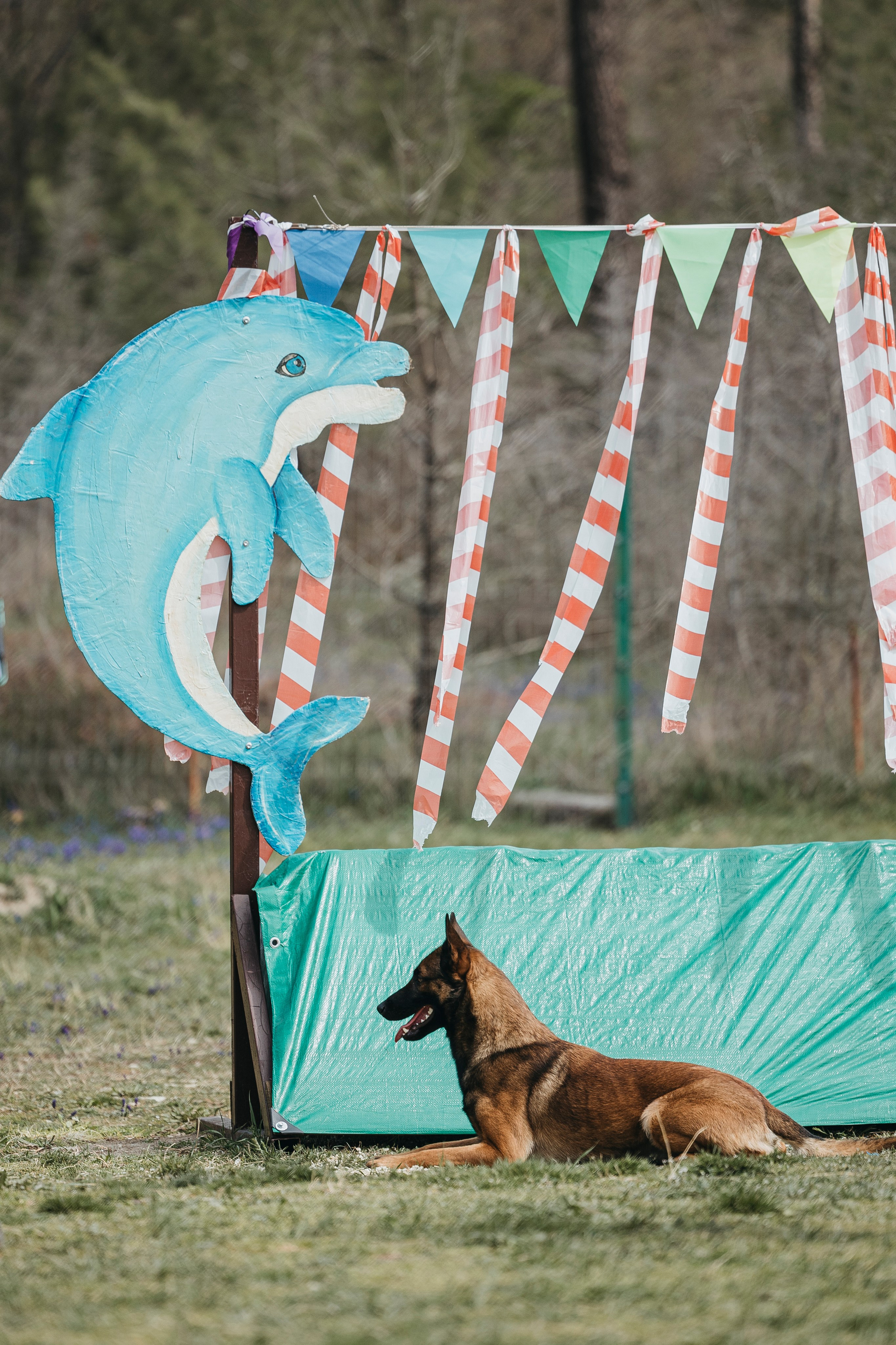 Геленджик Мондьоринг. Фотограф-анималист Анна Маринич