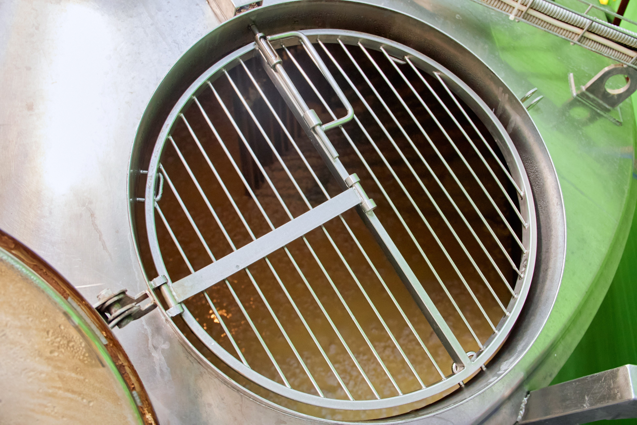 Экскурсия «Агроферма-Катынь». Фотограф в Смоленске Ася Польшина