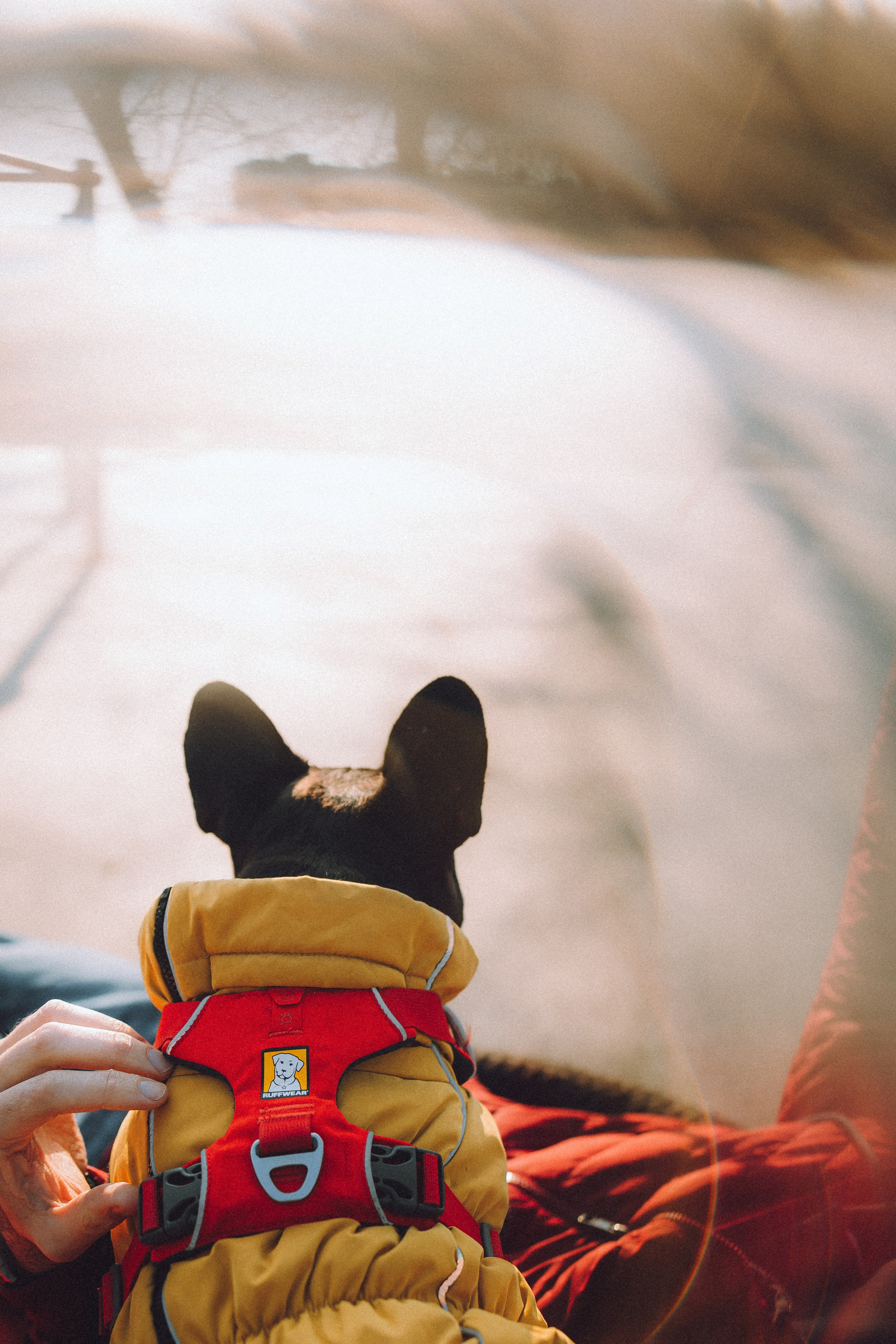 Саша, Дима и Шпуля