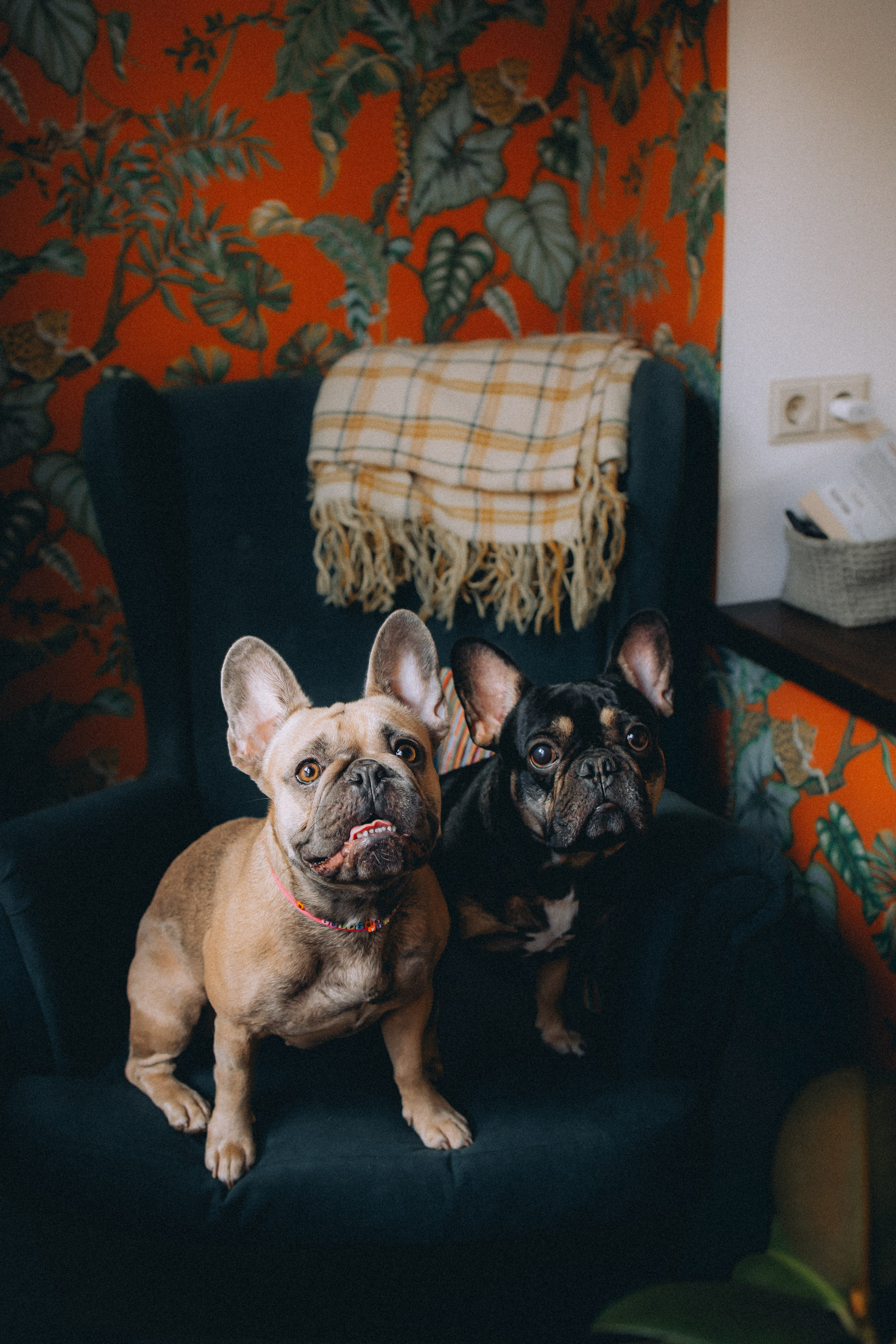 Юля, Мия и Зек