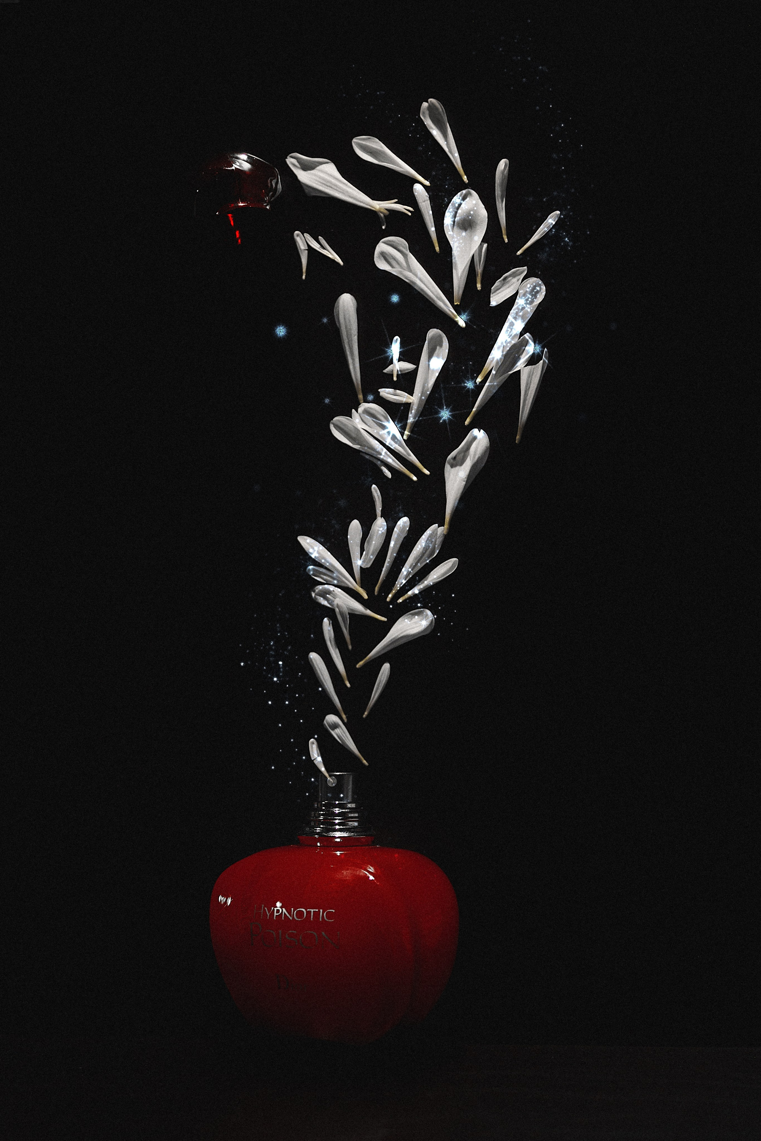 Проект «366»|2024|Фото каждый день. LENA GRACE photographer ||ЛЕНА ГРЭЙС фотограф