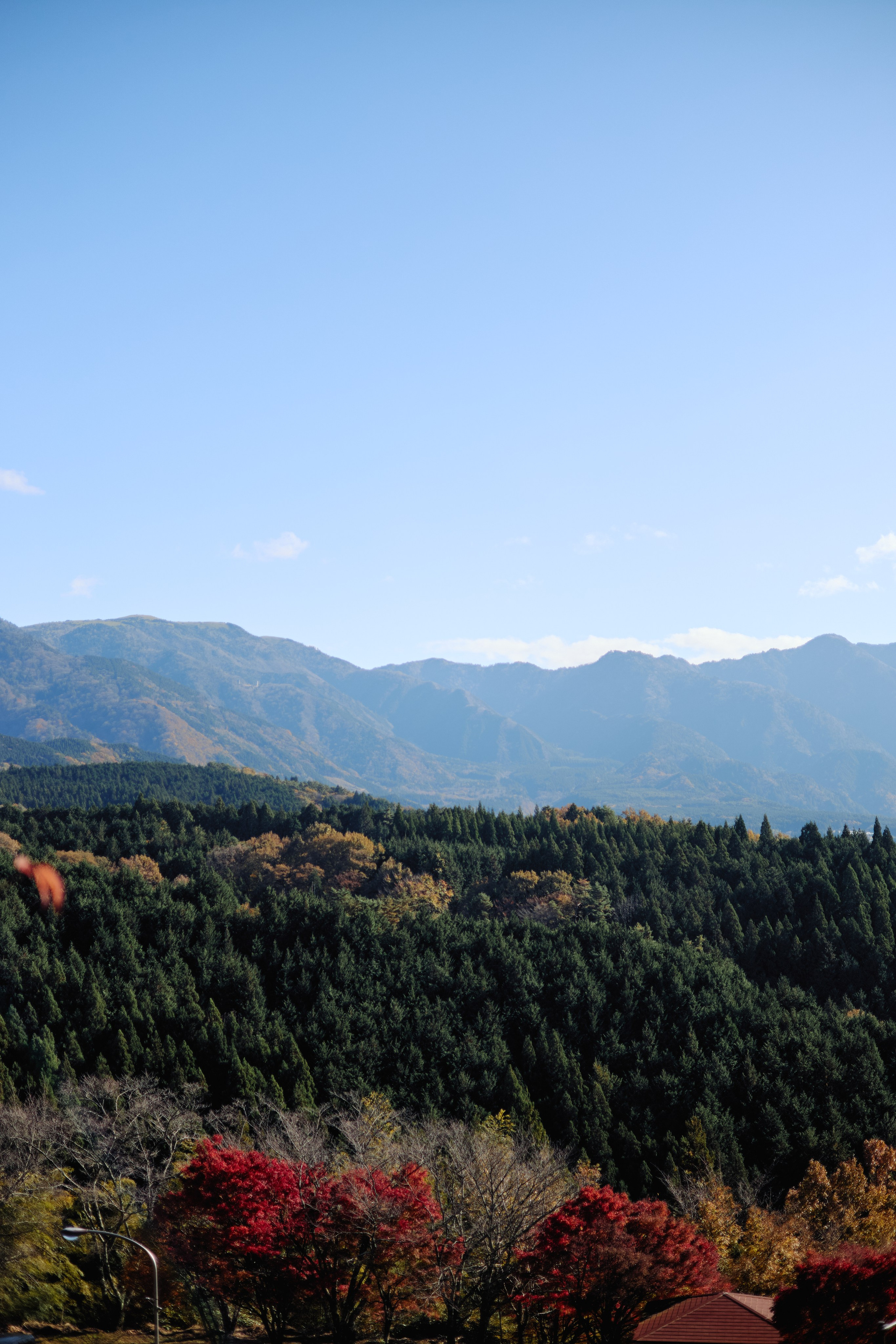Япония. Профессиональный Фотограф во Владимире, в Москве и в Суздале — Полина Романычева