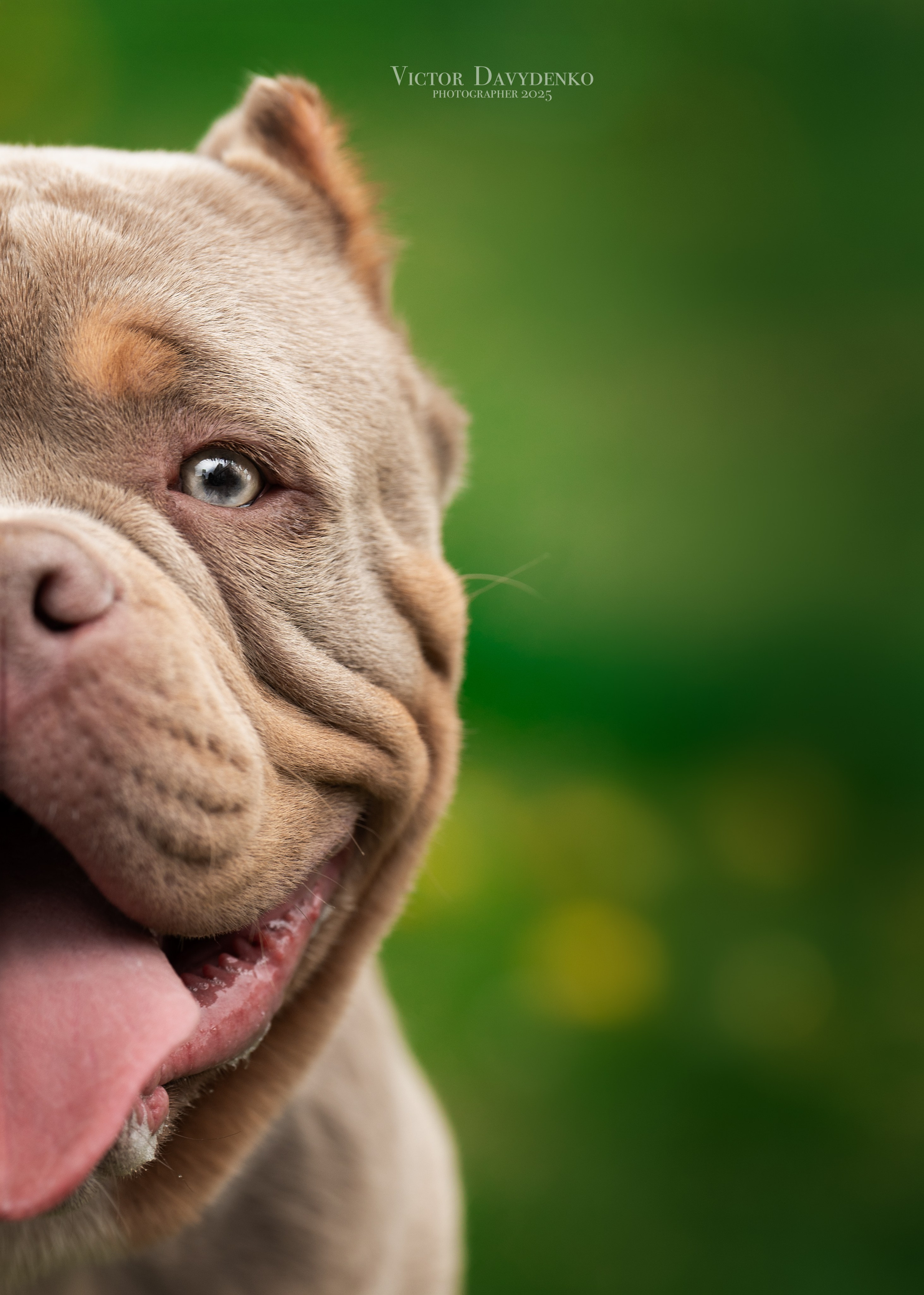 Давыденко Анна / Фотограф Краснодар/Сочи