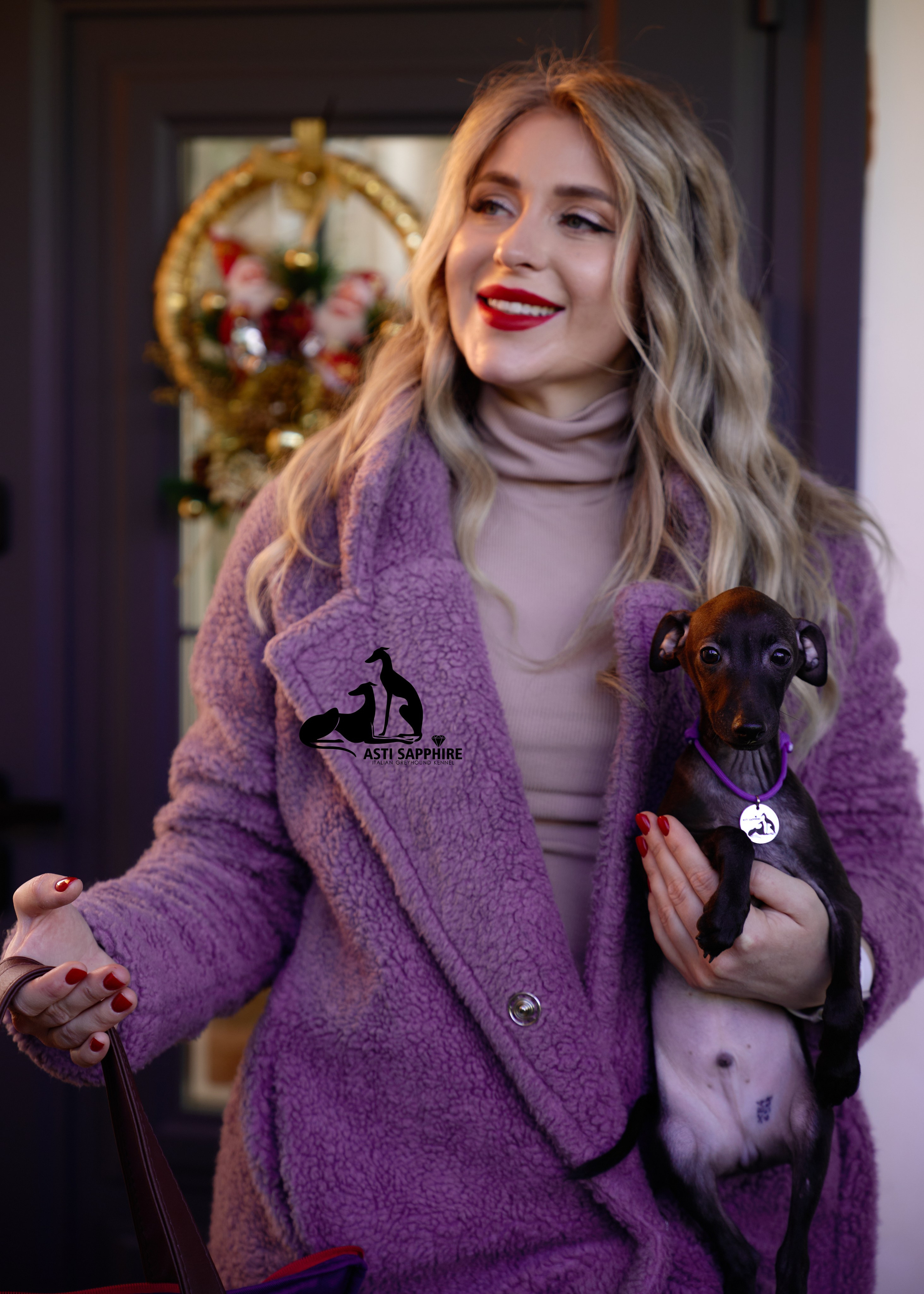 левретка щенок фотограф анималист в сочи