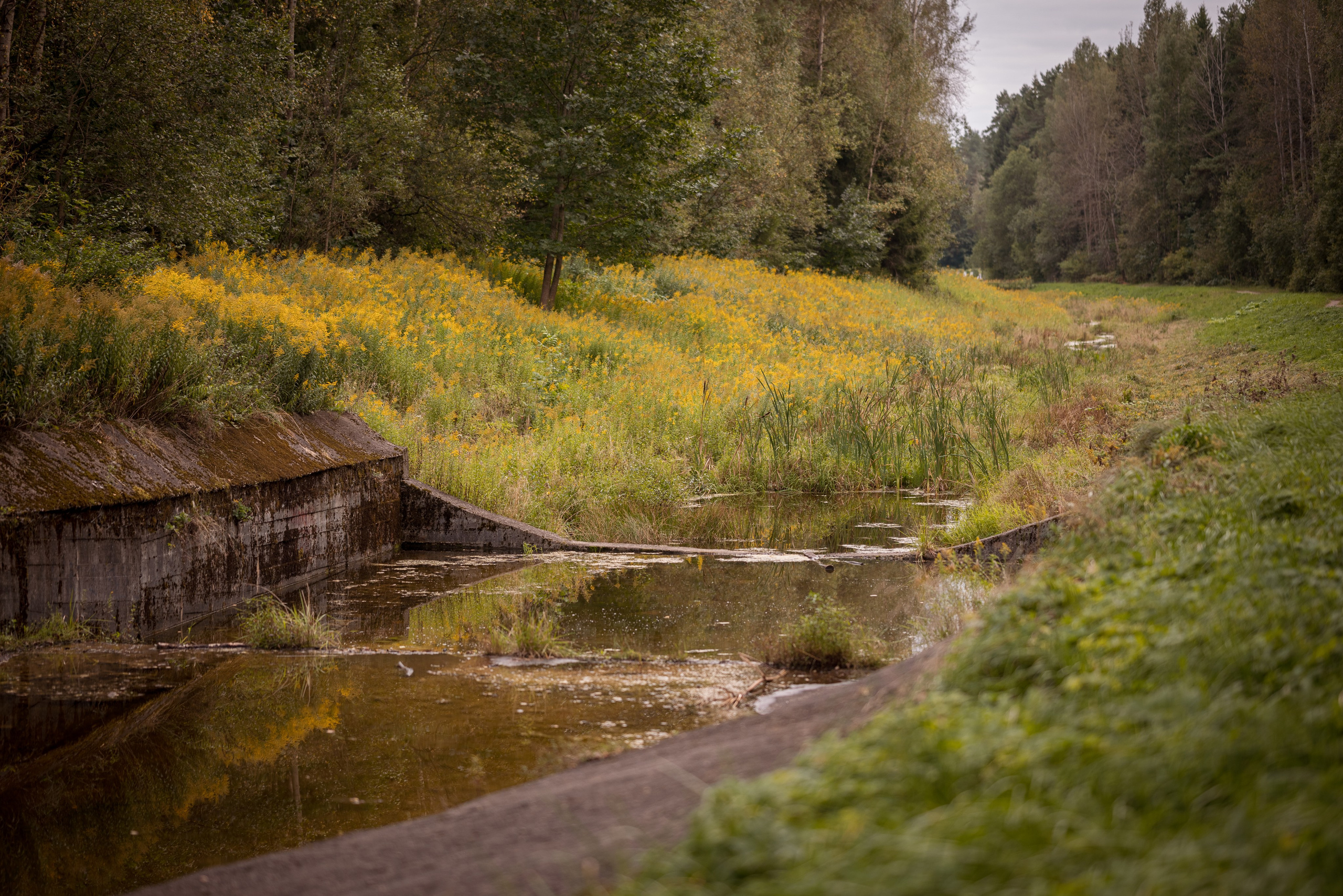 Места. Фотограф в Минске Дарья Кончакова