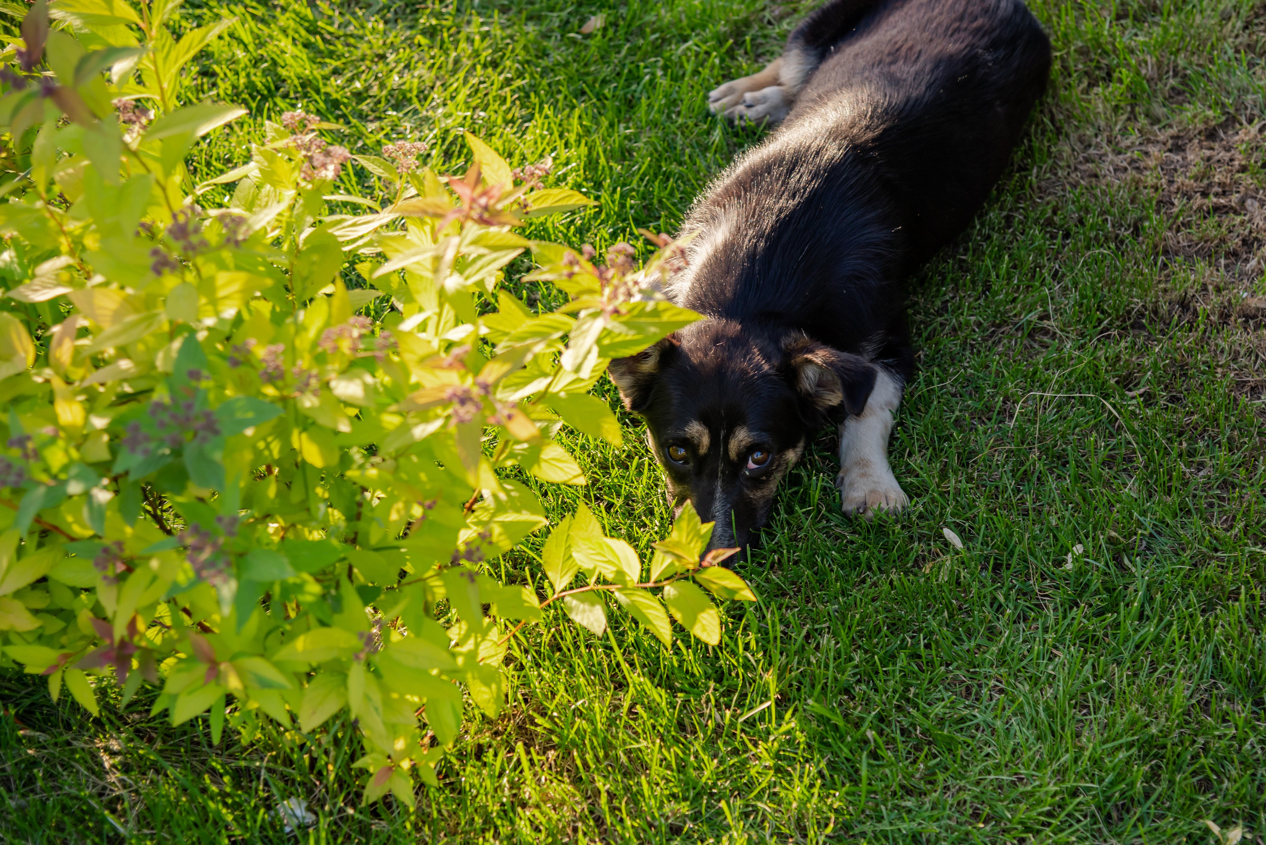 Вечер в Губернии. Фотограф Галина Нестерова