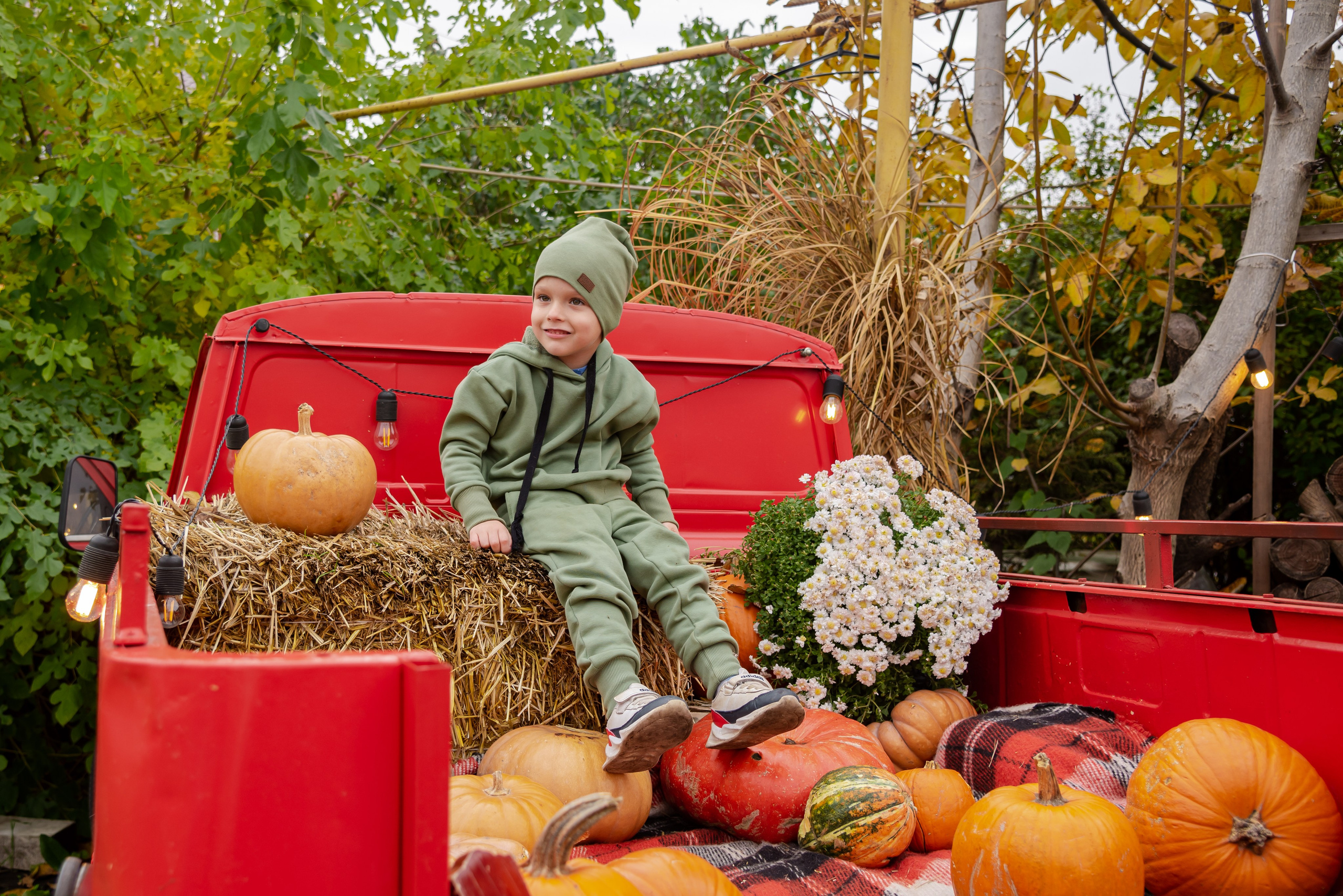 Авакадо. Фотограф Галина Нестерова