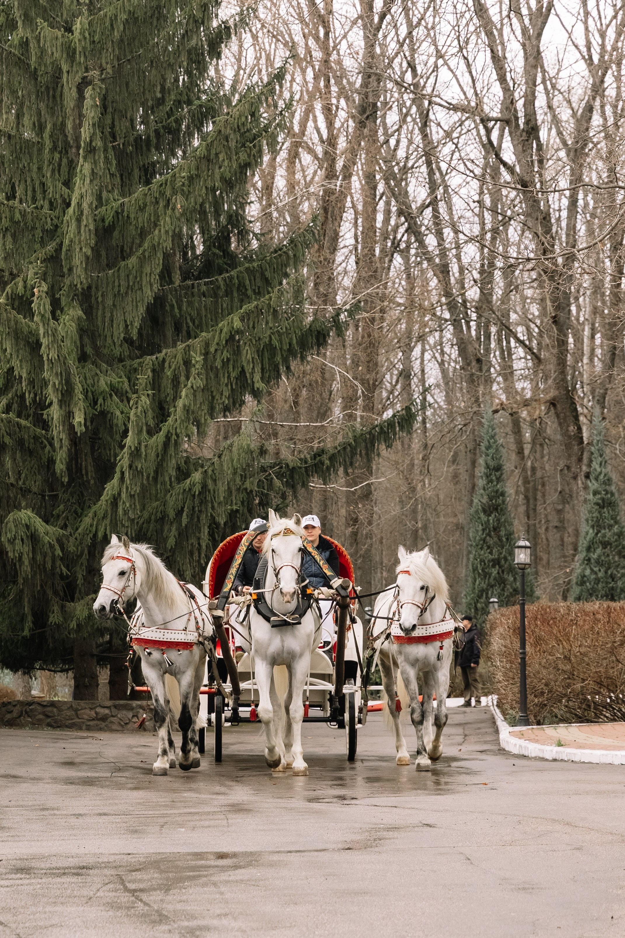 День Орловского рысака. Парк-отель Яр. Свадебный, репортажный фотограф Ирина Шкурина