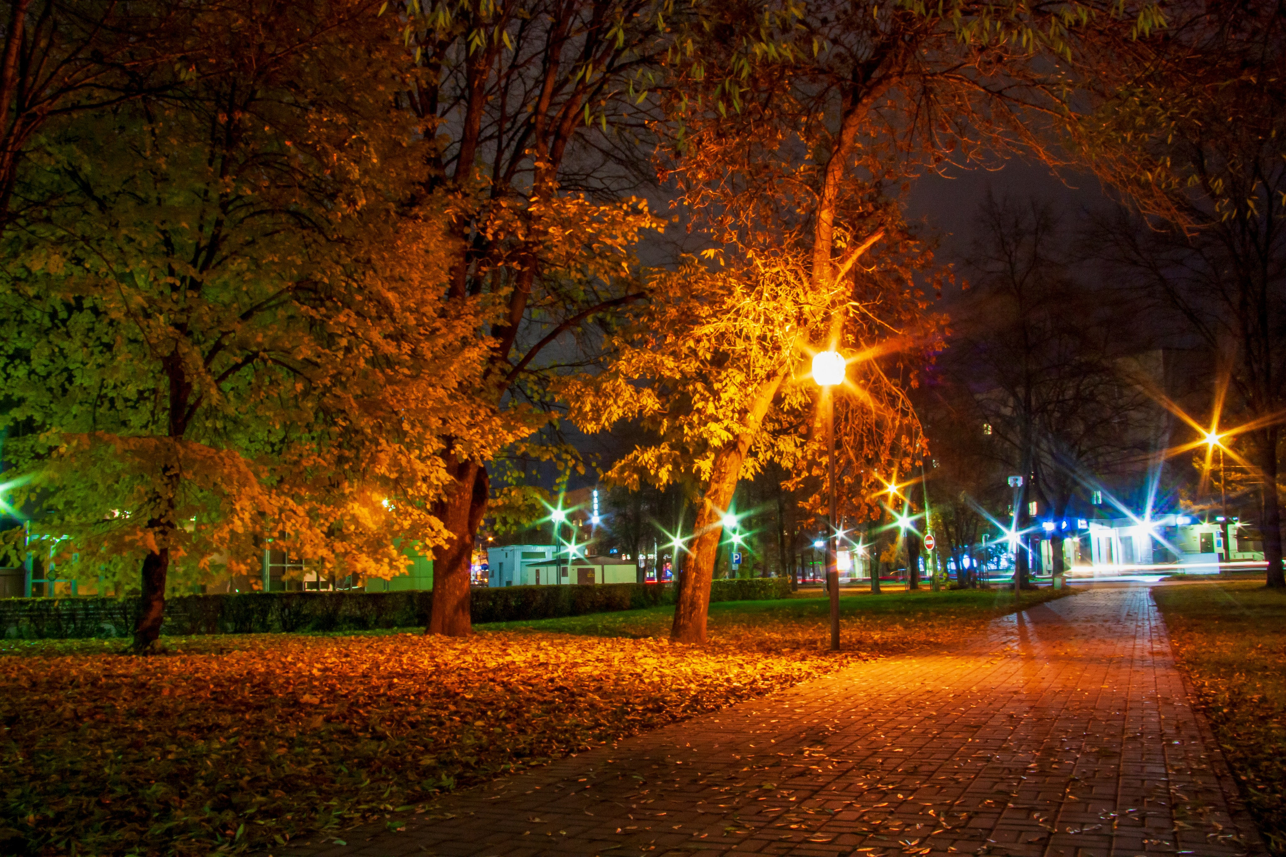 Пейзаж. Фотограф Люся Воробьева