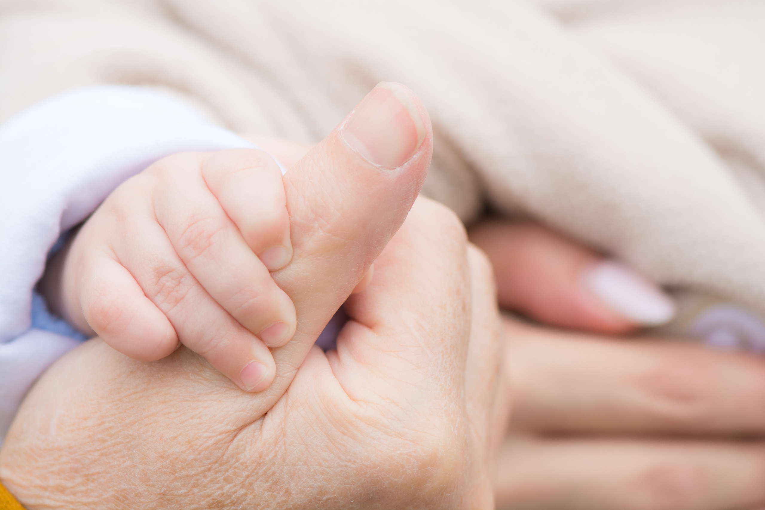 Осень в парке Измайлово. Фотосессия для Анны. Фотосессия беременности — Крылова Натали — Москва