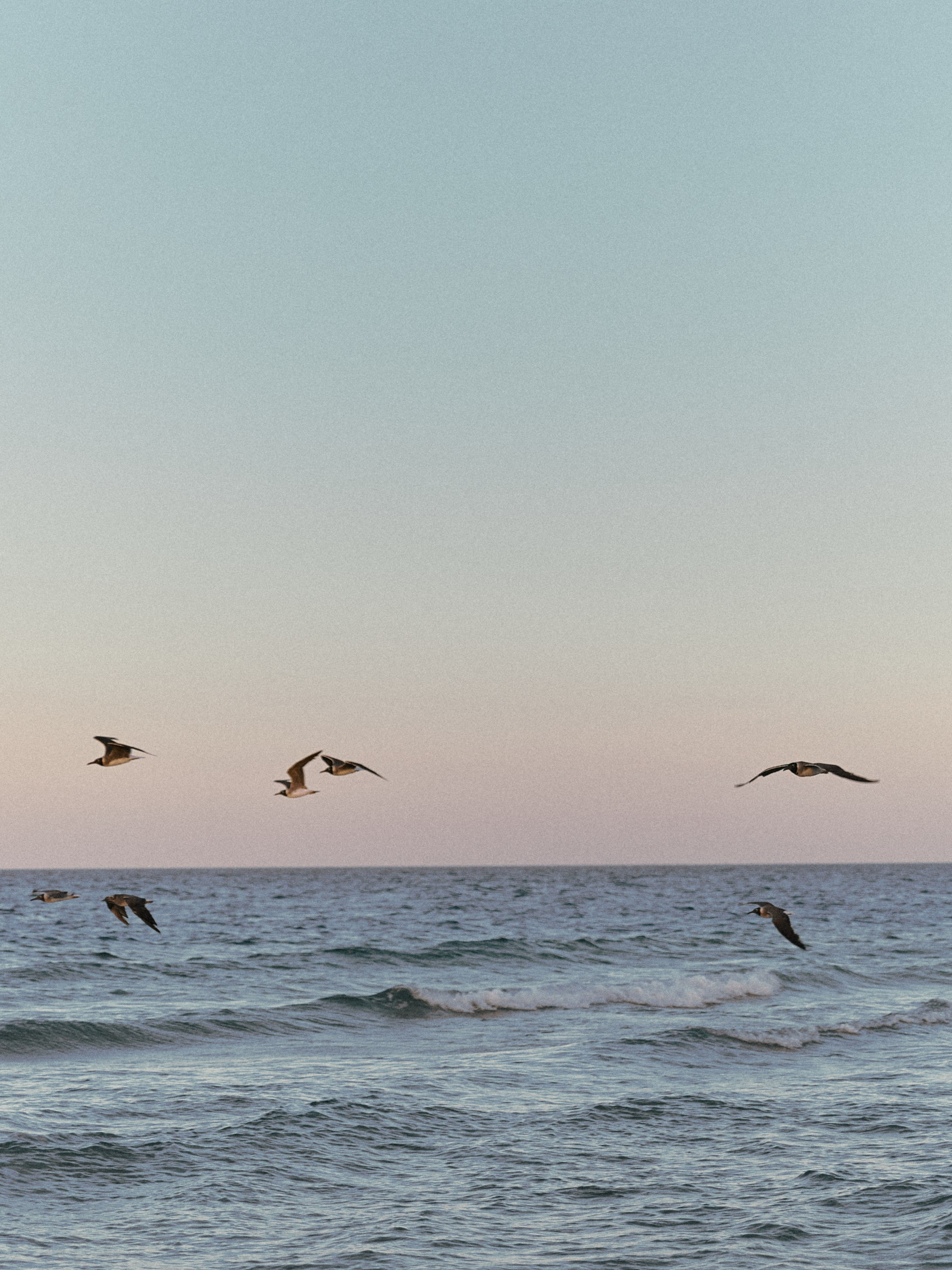 Природа. Jorgis Talè — photographer, kind person, teacher of arts and other mag