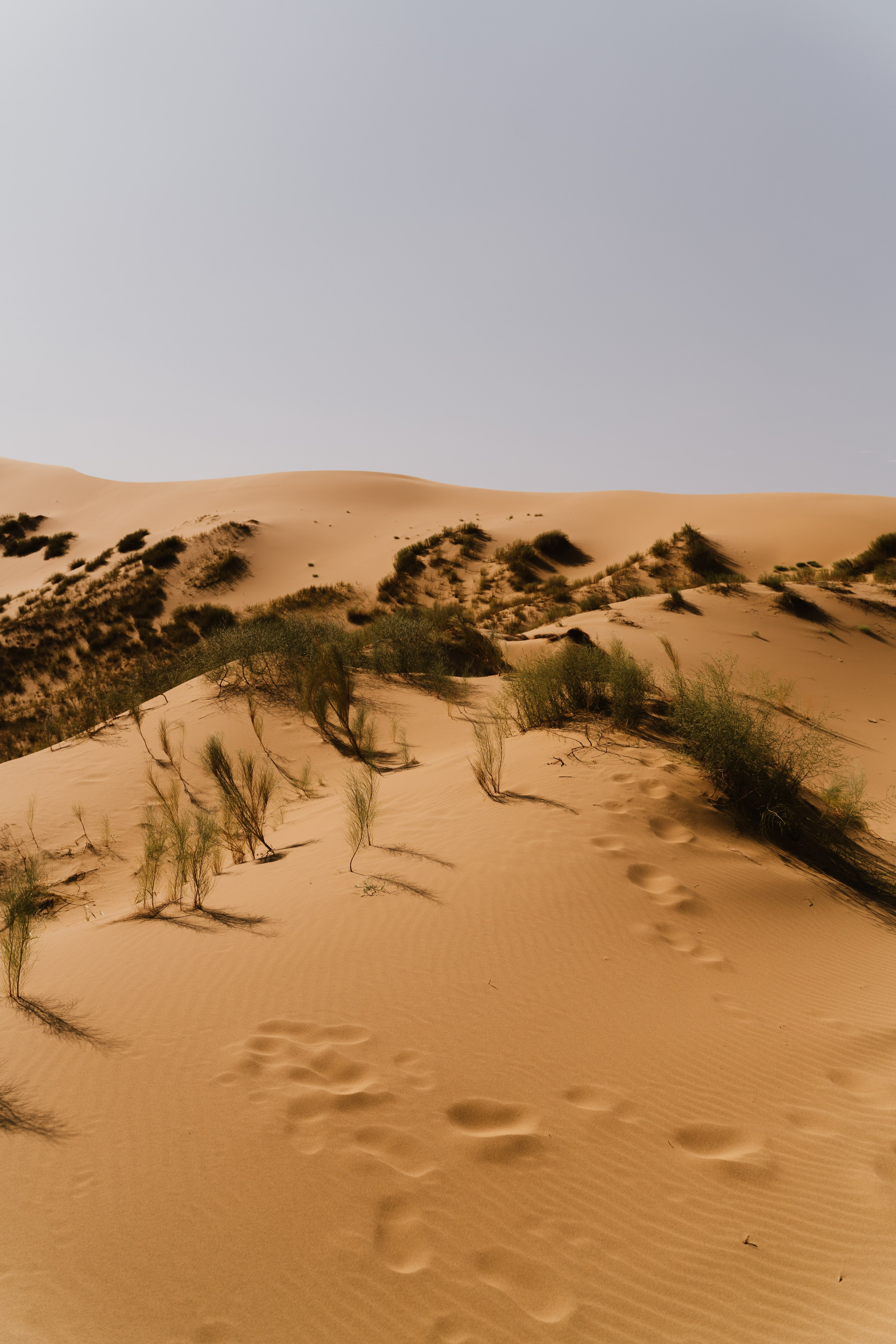 Пейзаж. Фотограф Кантемир Бараов