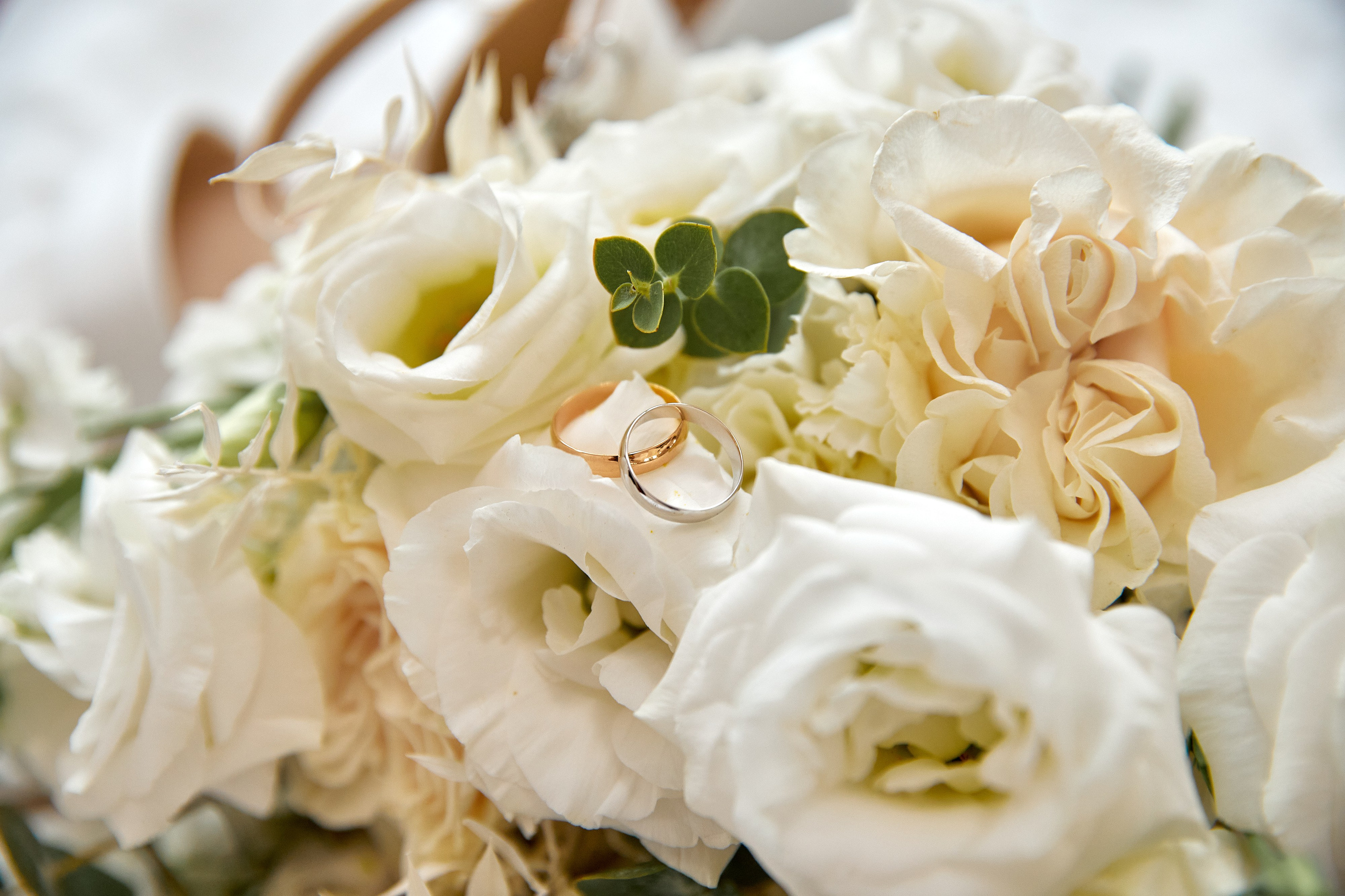 Галина Шабурова, фотограф в Челябинске