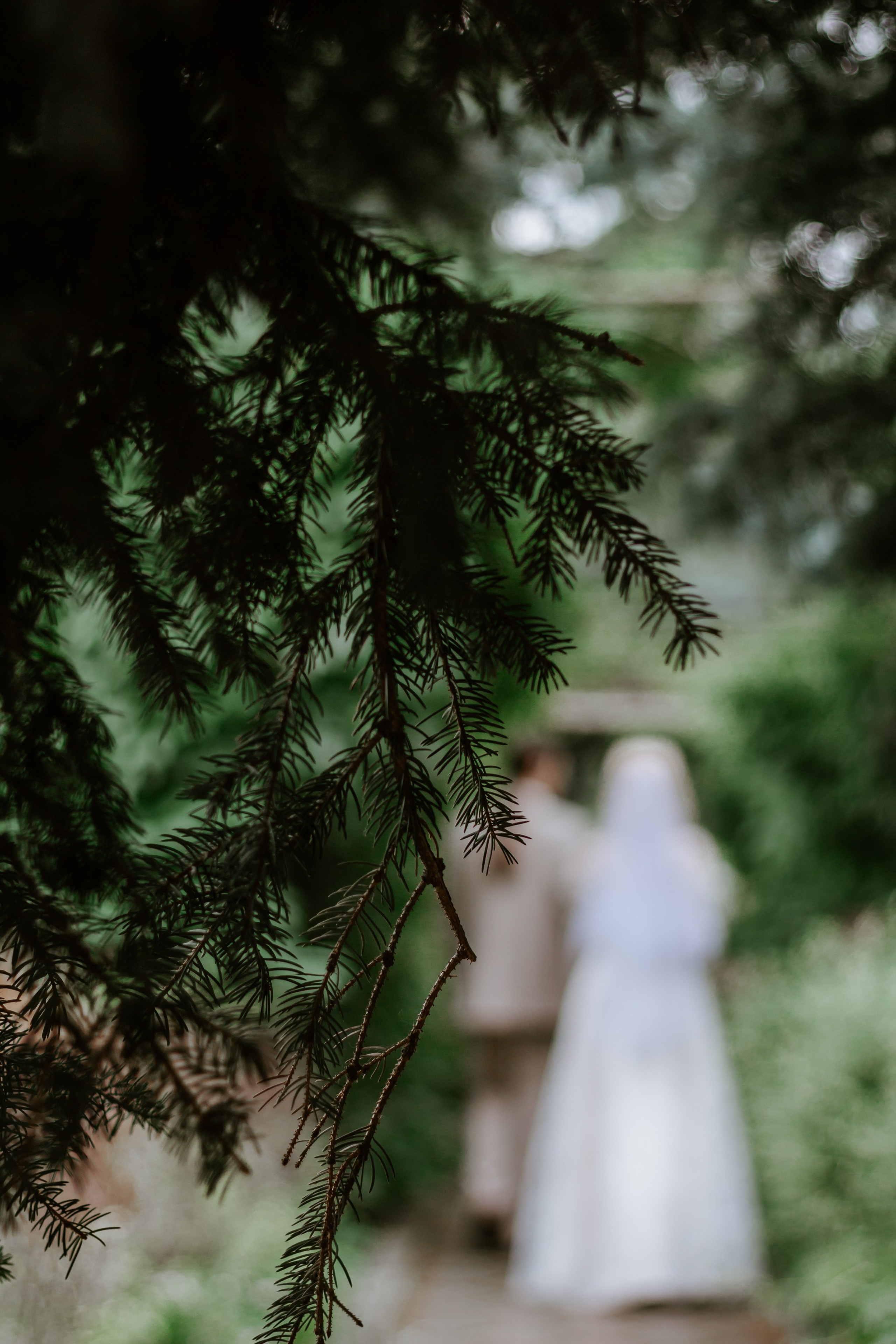 Свадебная фотосессия в оранжерее, Екатеринбург. Александр и Дарья. Фотограф в Екатеринбурге Пойгина Елена