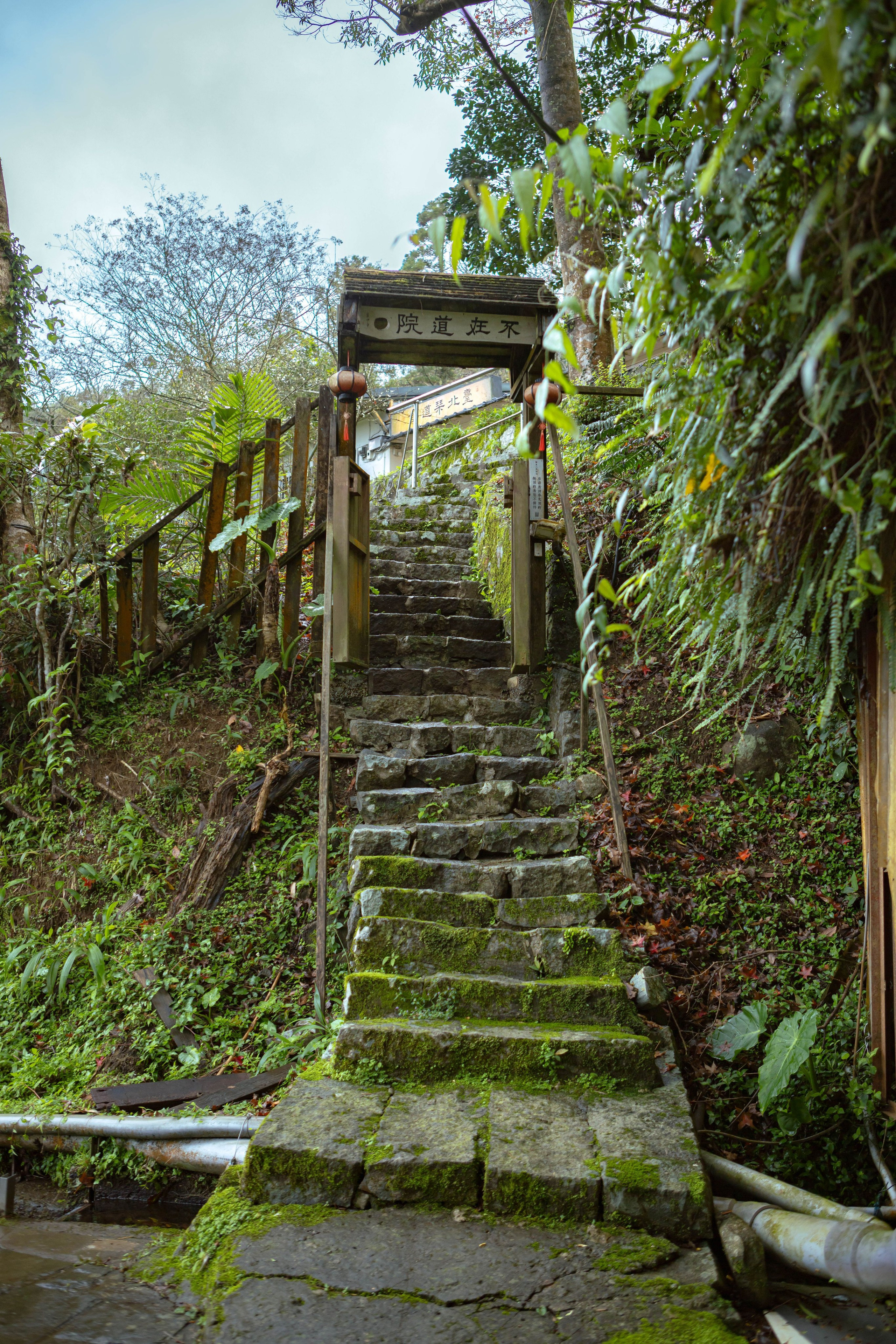 Тайвань. Фотография, ретушь, сканирование, восстановление старых фото, интерьерная съёмка, студия. Данилов Александр, Москва