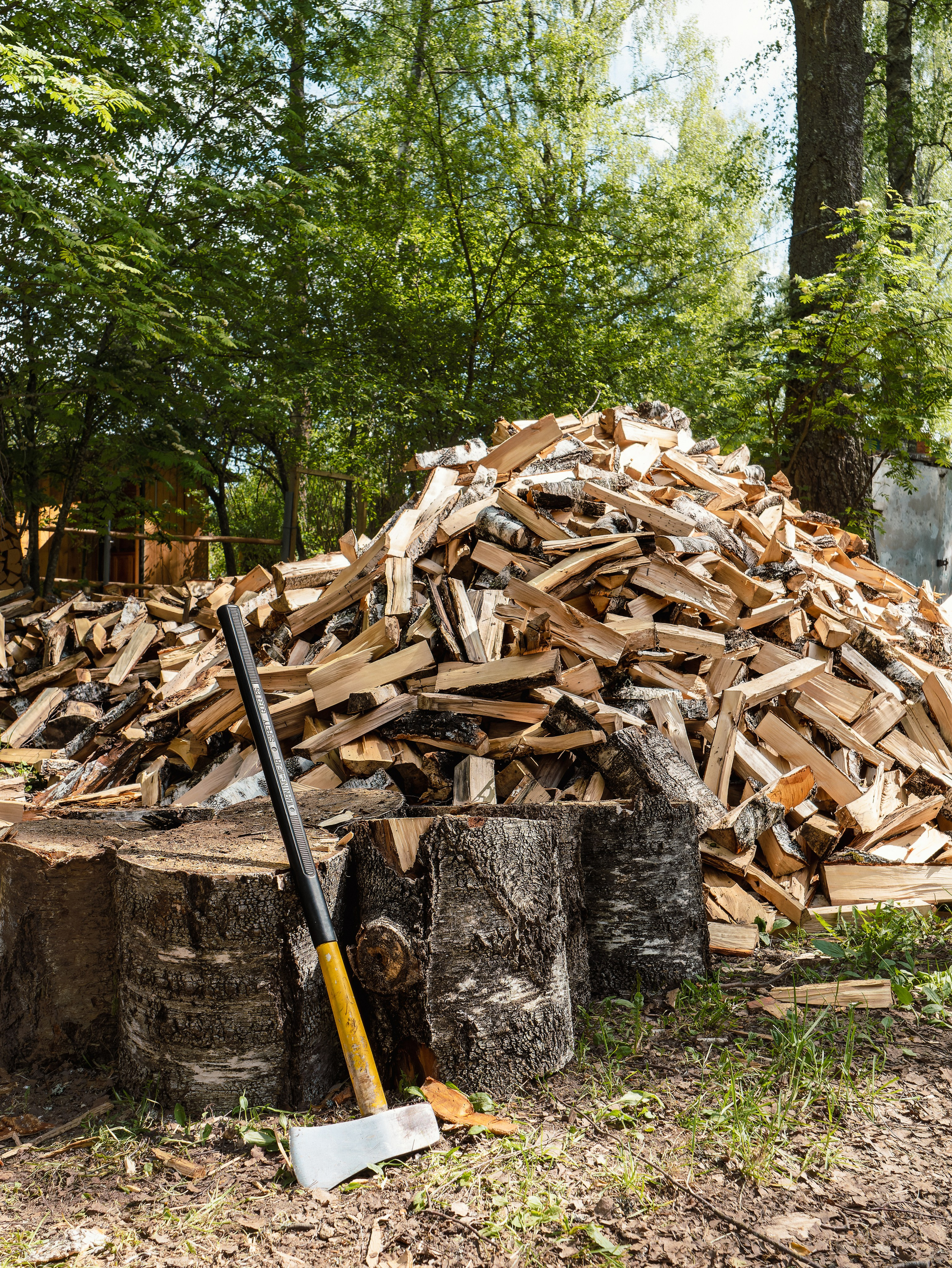 На берегу Угры. Конец мая 2024 года. Фотограф Никифоров-Гордеев Сергей. Москва и МО