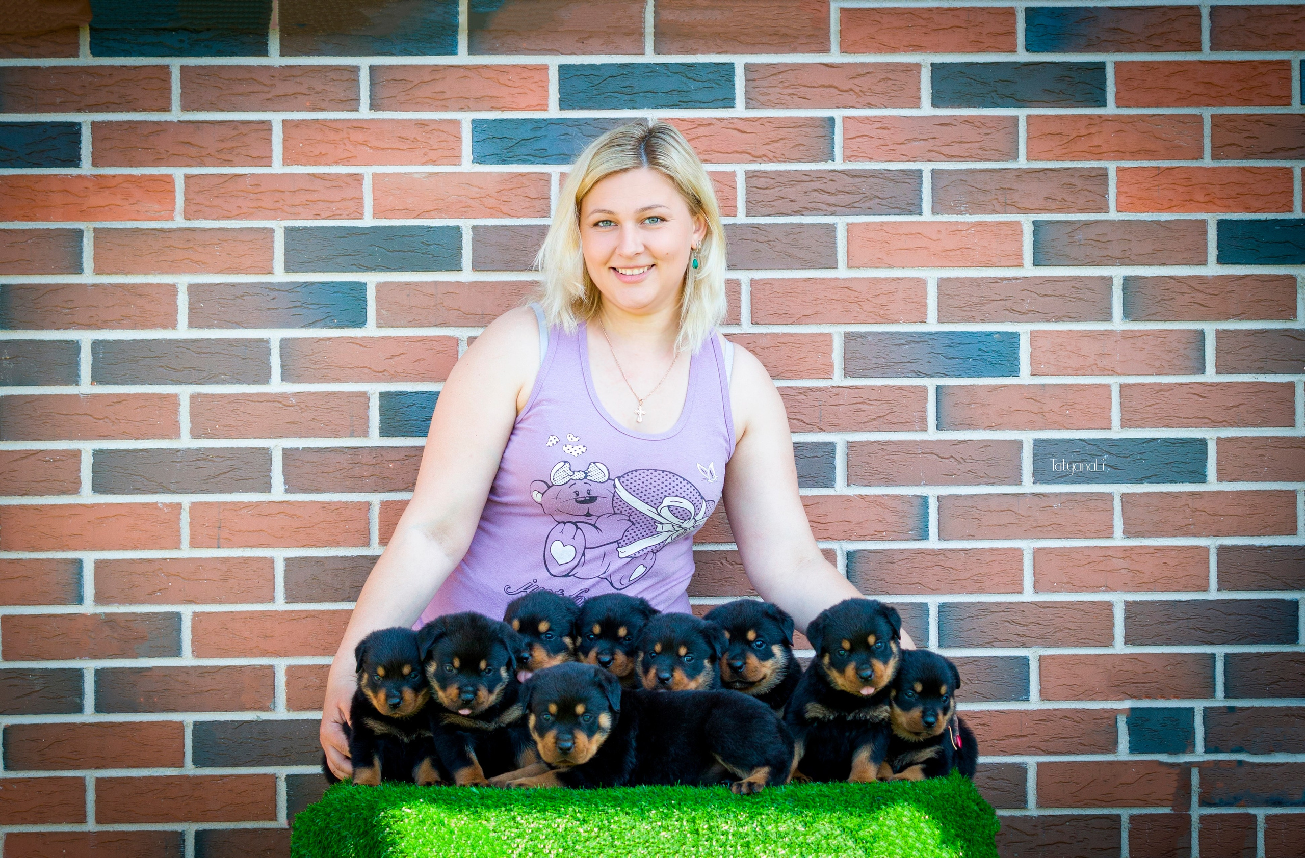 Ротвейлер. Фотограф — анималист Татьяна Ли