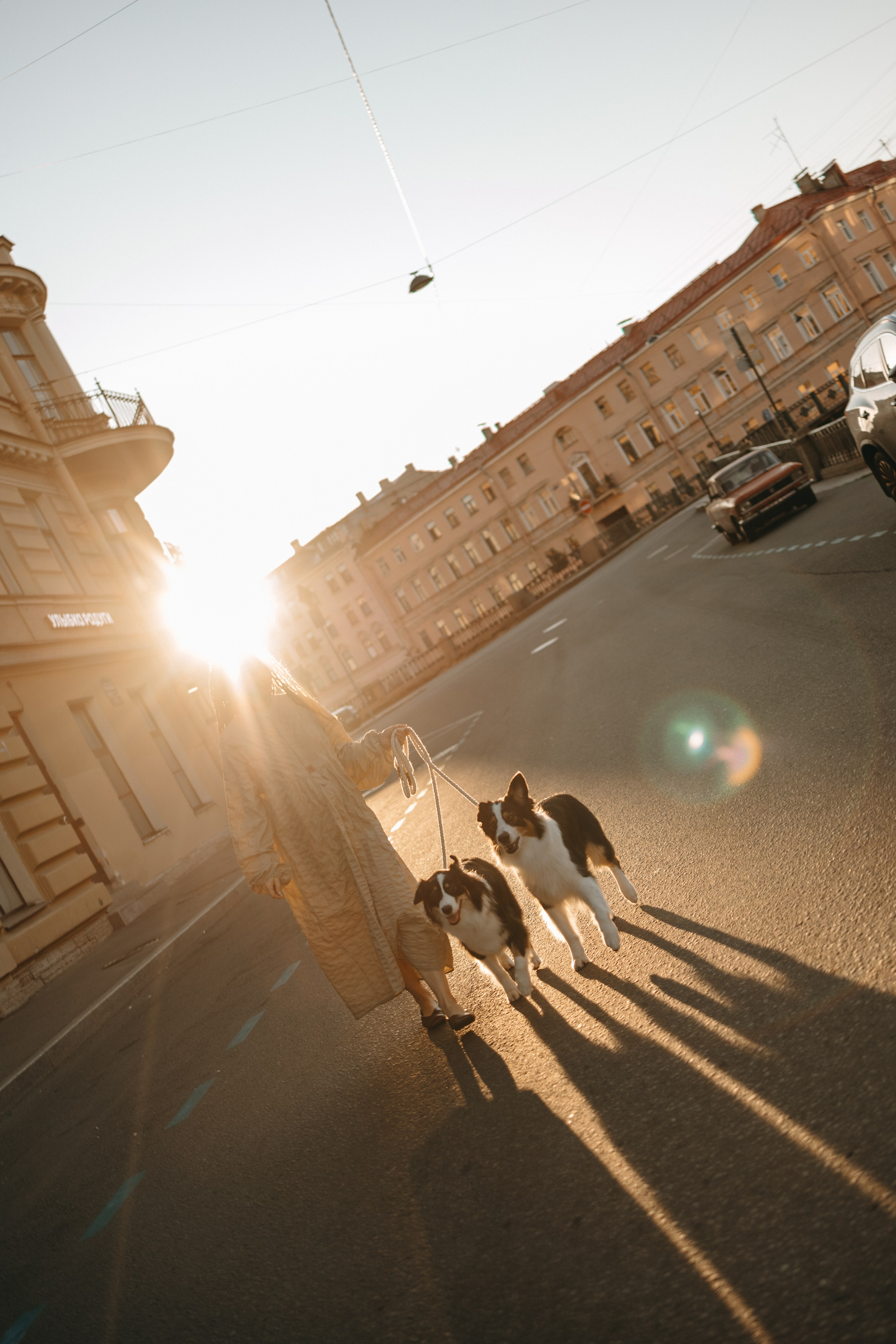 Катя и ее девочки. Фотограф — Анималист | Санкт-Петербург