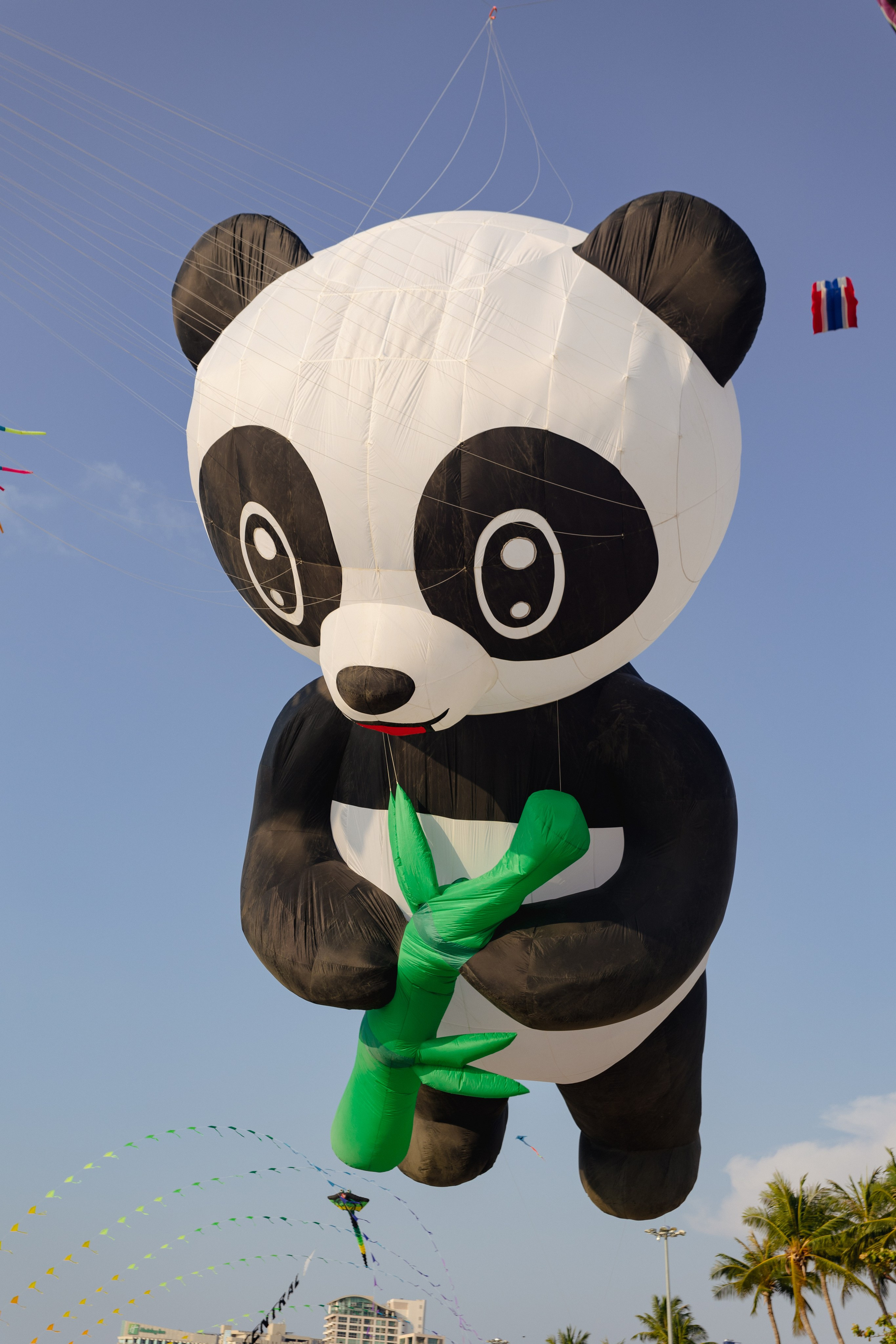 PATTAYA INTERNATIONAL KITE ON THE BEACH 2024. Photographer Sonkina Tatiana (Tanya Ash)