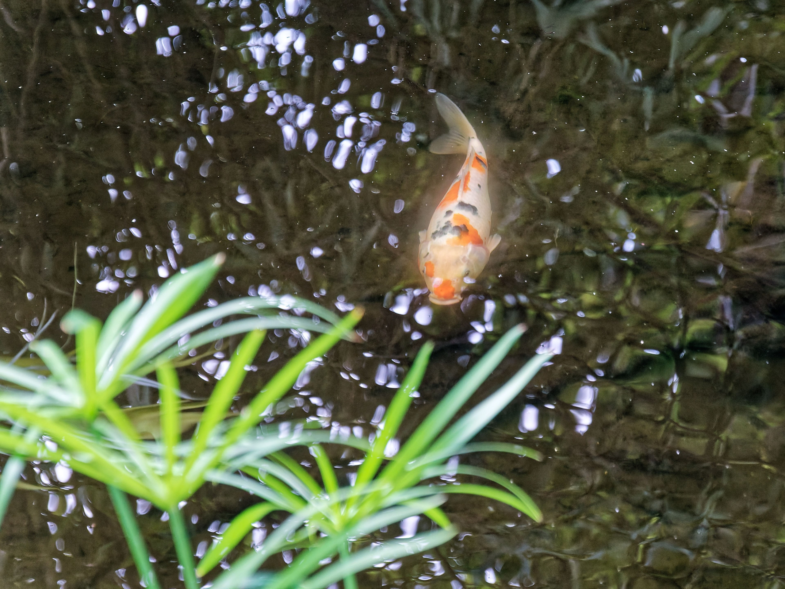 Хайнань 2026, первые впечатления. Фотопрогулки по Миру