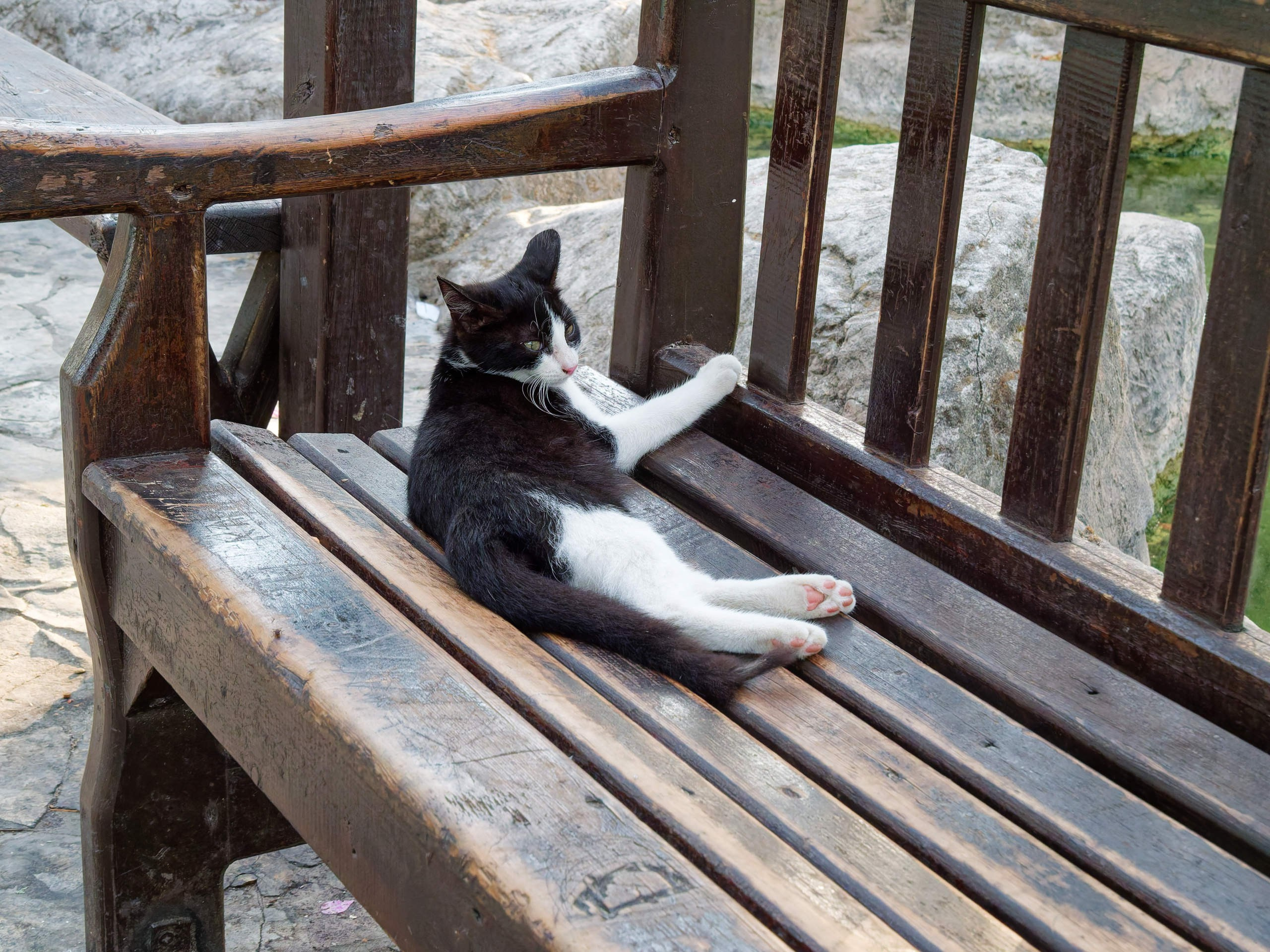 Алания 2025, порт и парк. Избранные фотографии