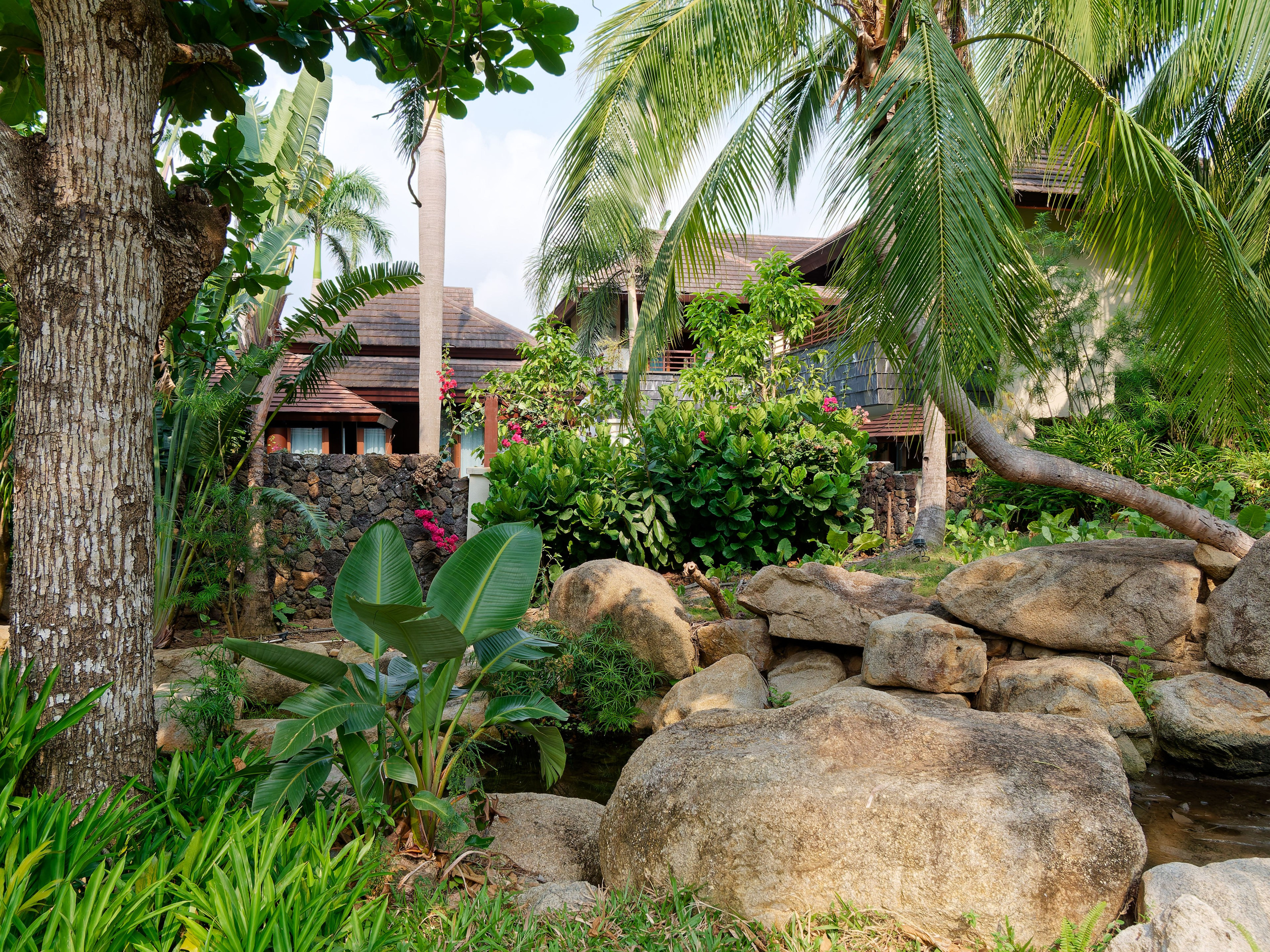 Хайнань 2026, первые впечатления. Фотопрогулки по Миру